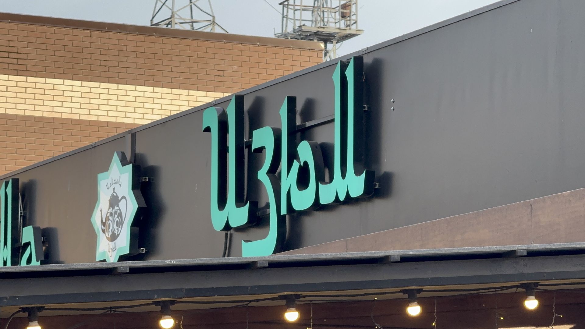 солнечногорск, рейд по мигрантам, кафе, заведение общепита, нарушение,