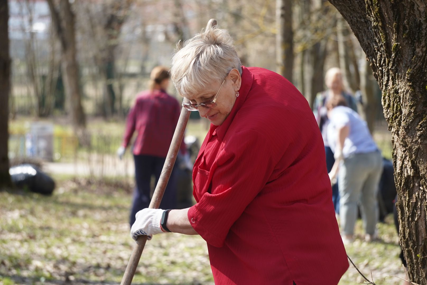 павловский  посад, парк победы, уборка,