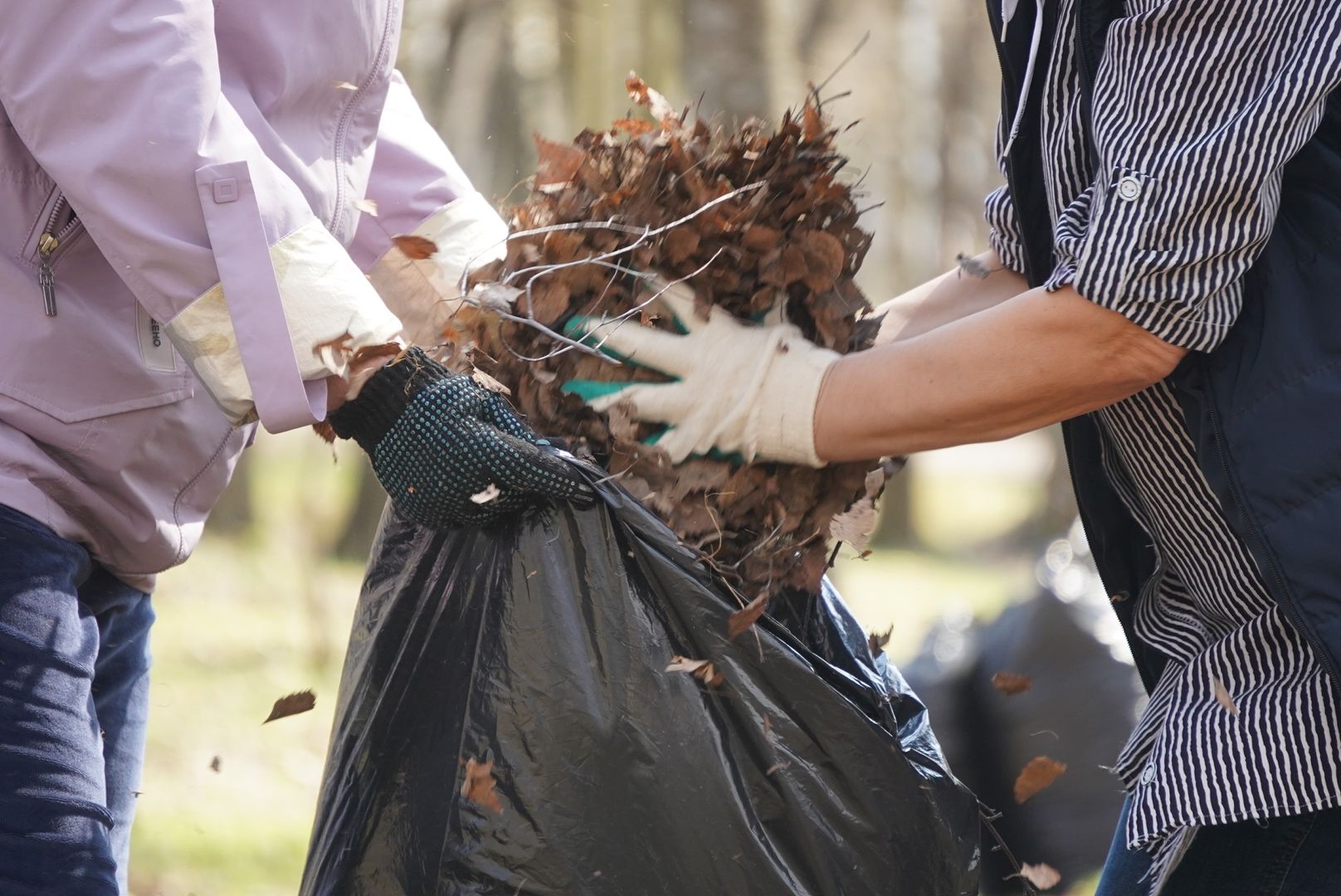 павловский  посад, парк победы, уборка,