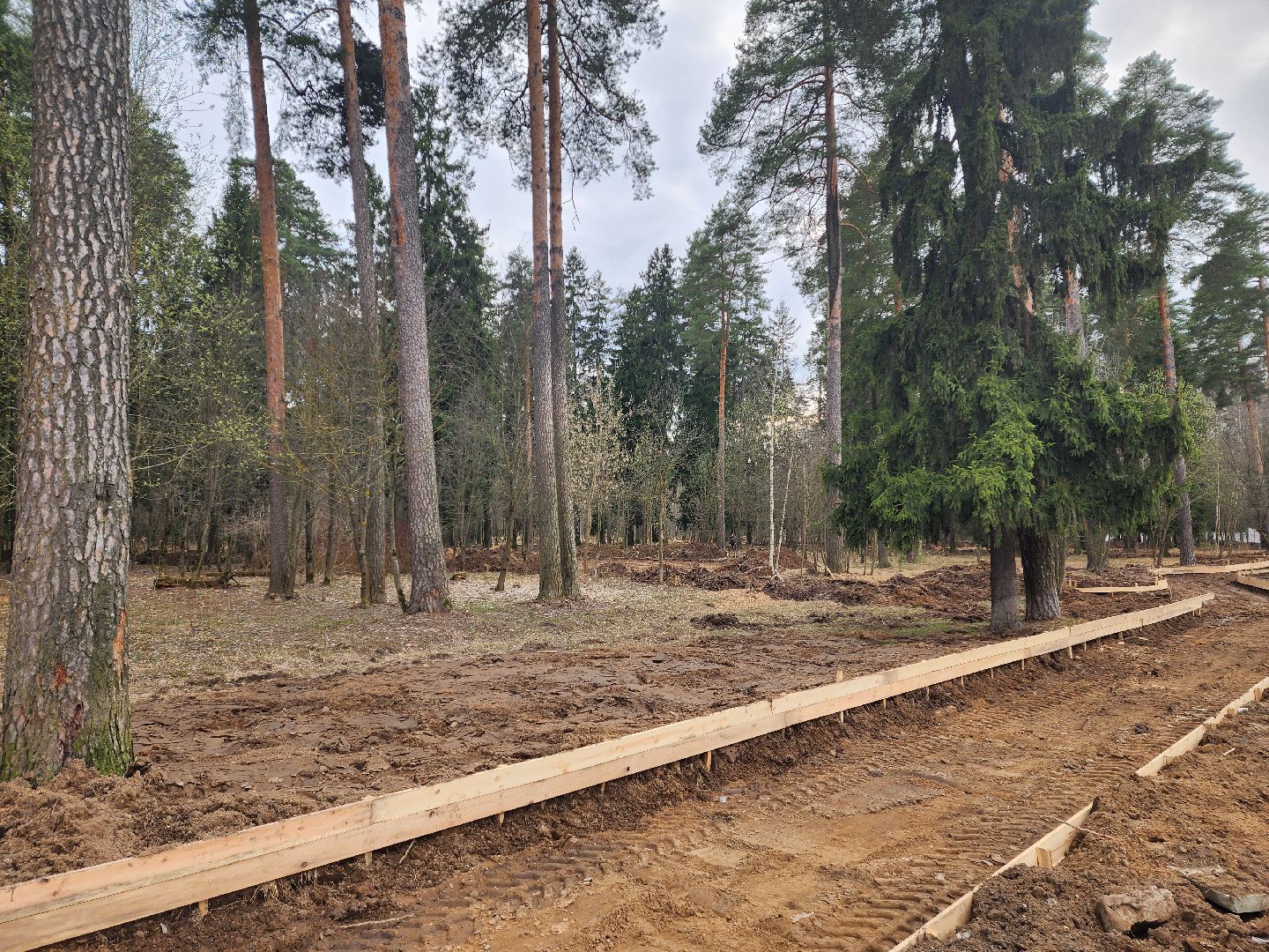 красноармейск, городской округ пушкинский, лесопарк, банный лес, инициатива жителей,