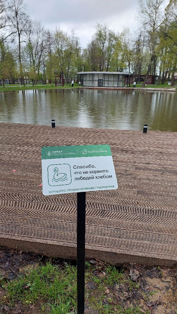 серпухов, лебеди, городской парк, парки подмосковья, зимовка, перемены, весна,