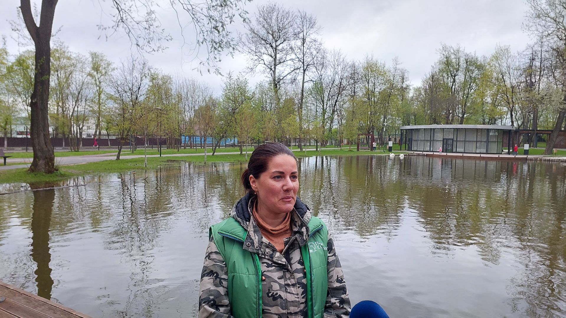 серпухов, лебеди, городской парк, парки подмосковья, зимовка, перемены, весна,