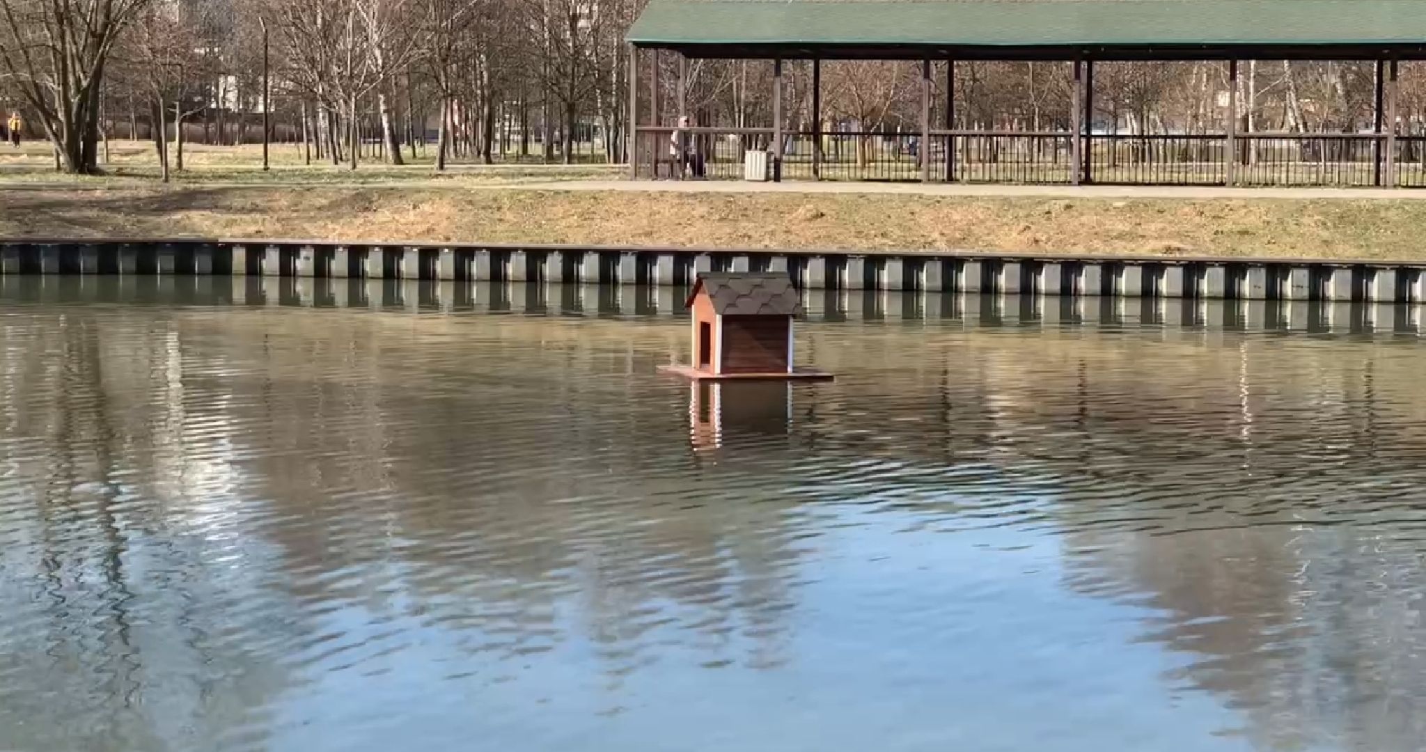 долгопрудный, парки, утки, чайки, пруды, домик для уток,