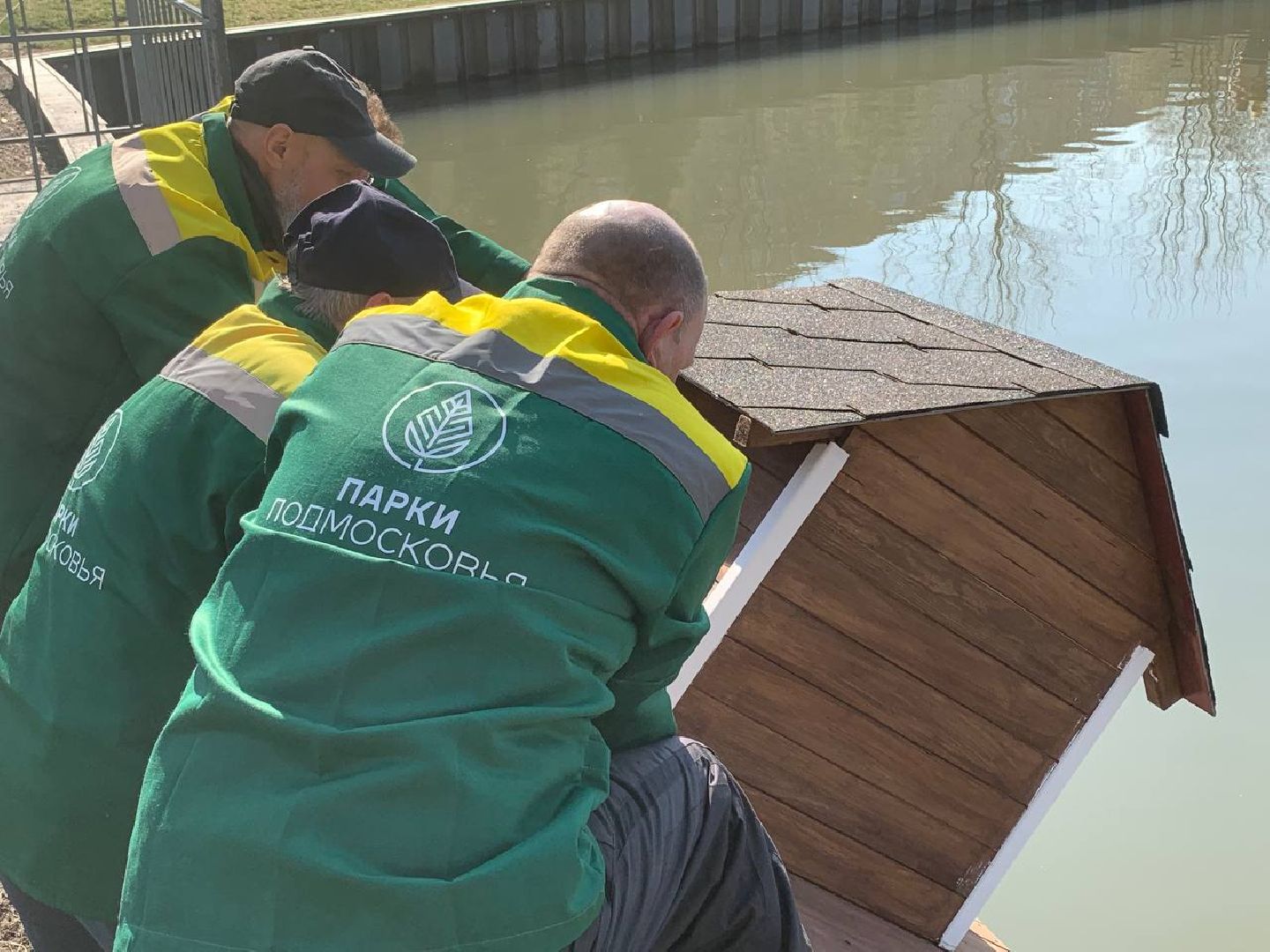 долгопрудный, парки, утки, чайки, пруды, домик для уток,