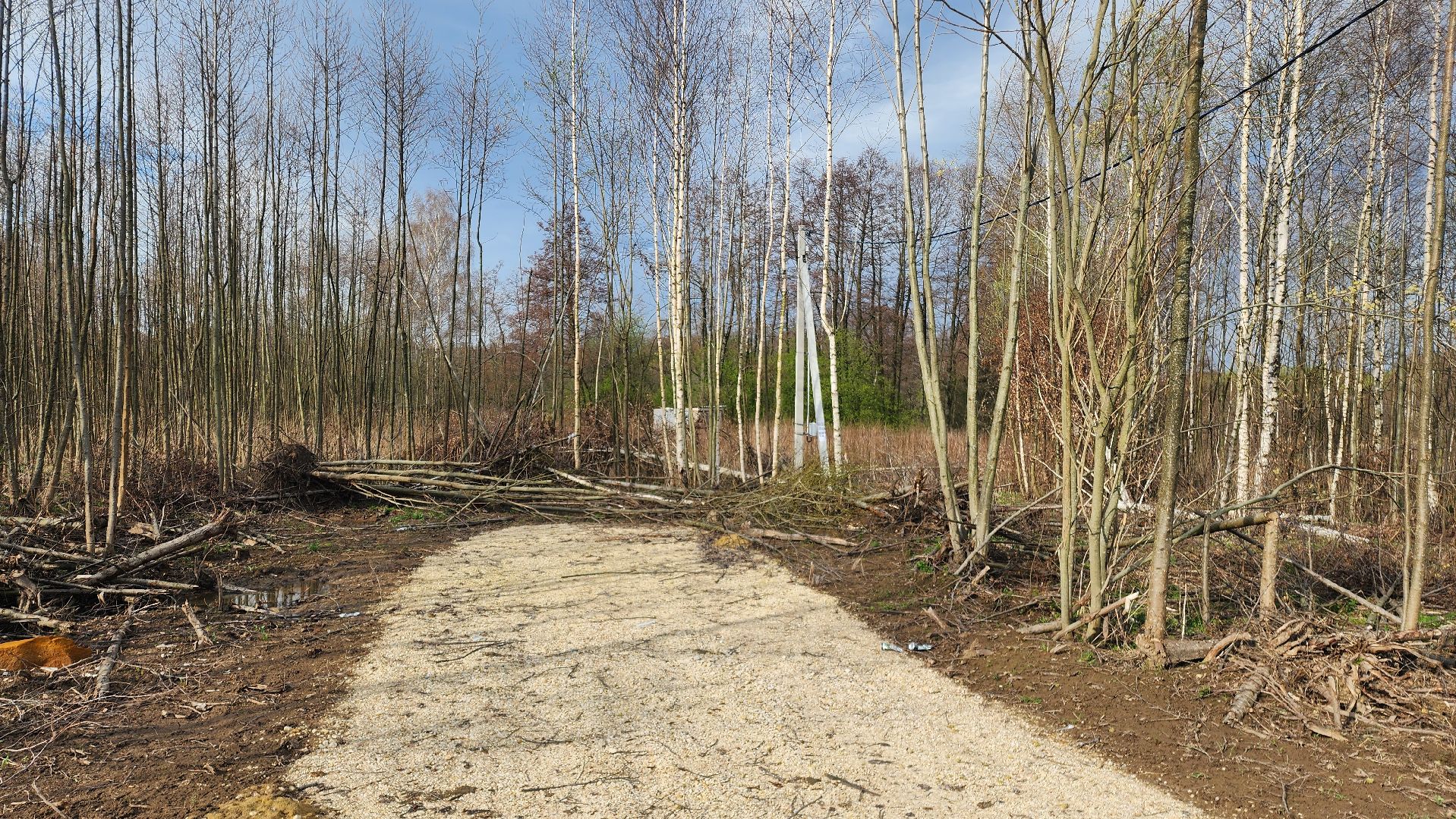 бронницы, выездная администиация, ремонт дороги,