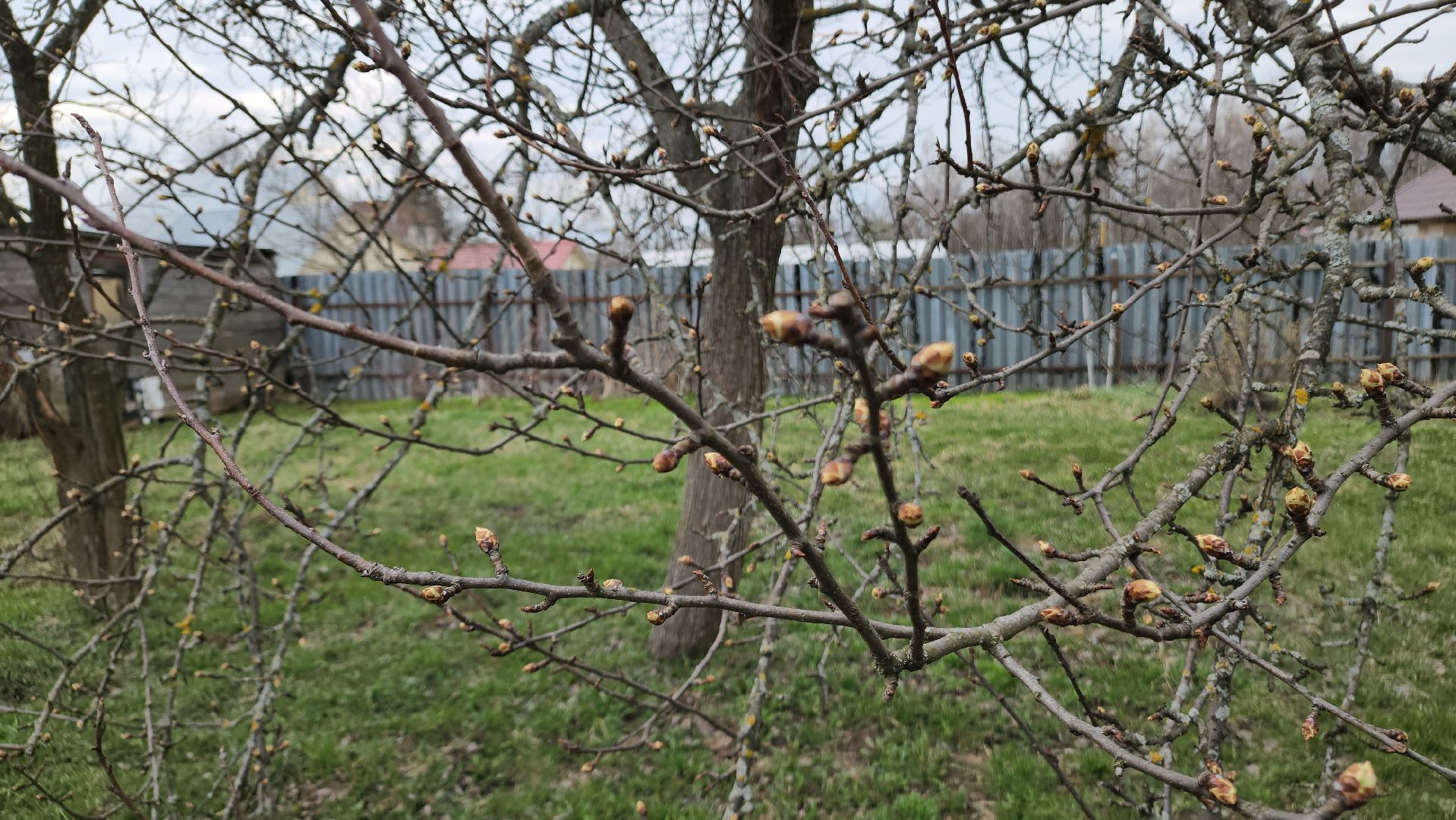 ступино, пасха, история, религия,