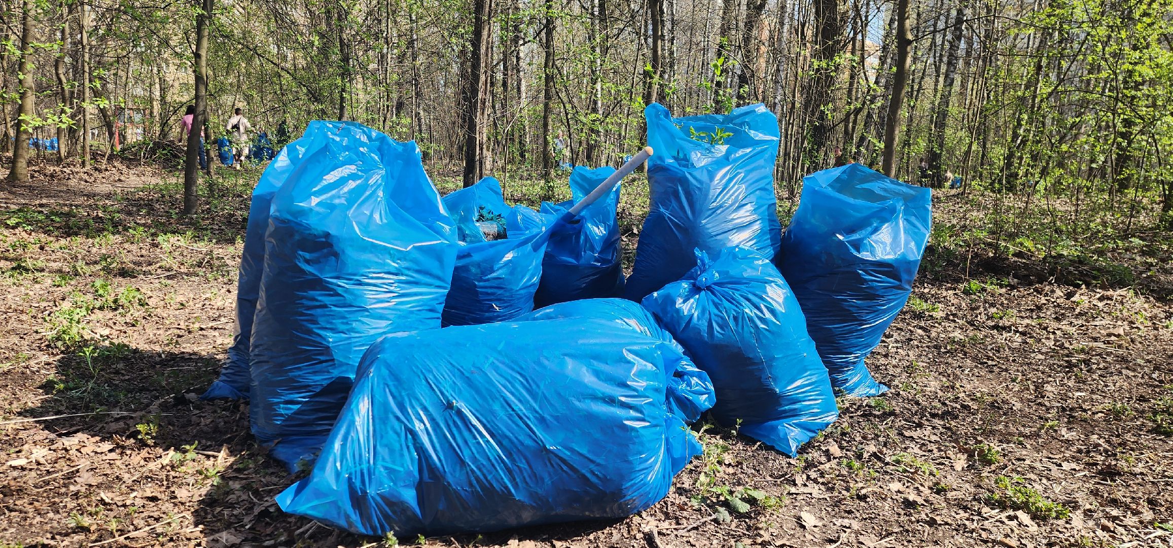 Химки, субботник, Благоустройство ,