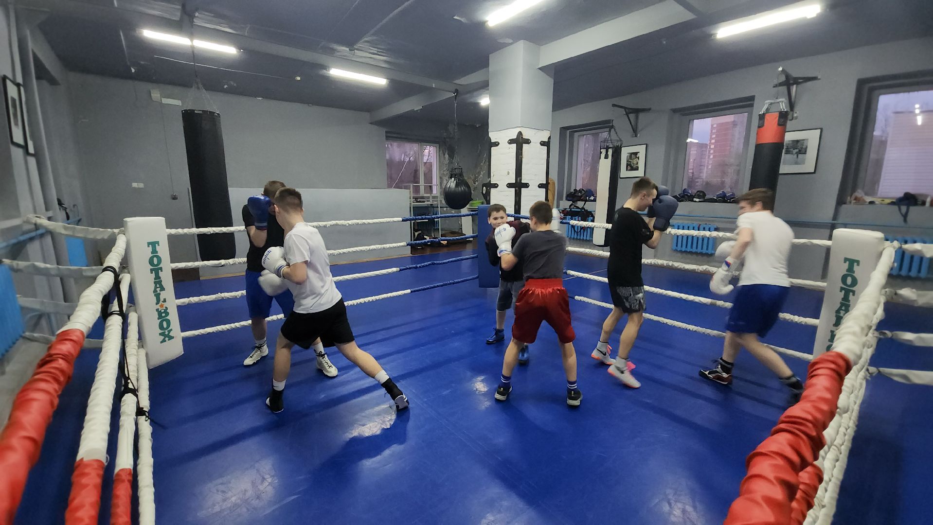 Бокс, Лобня, Соревнования ,