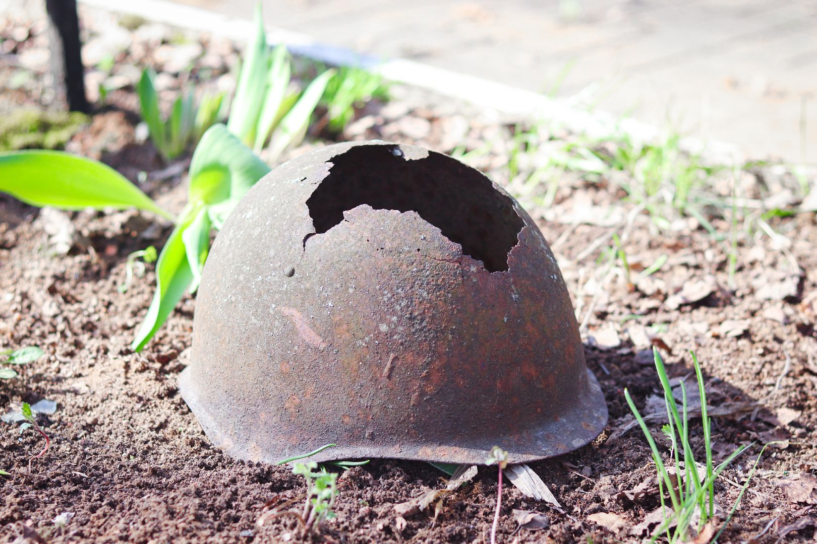 клин, общество, субботник, вов, память, братская могила,