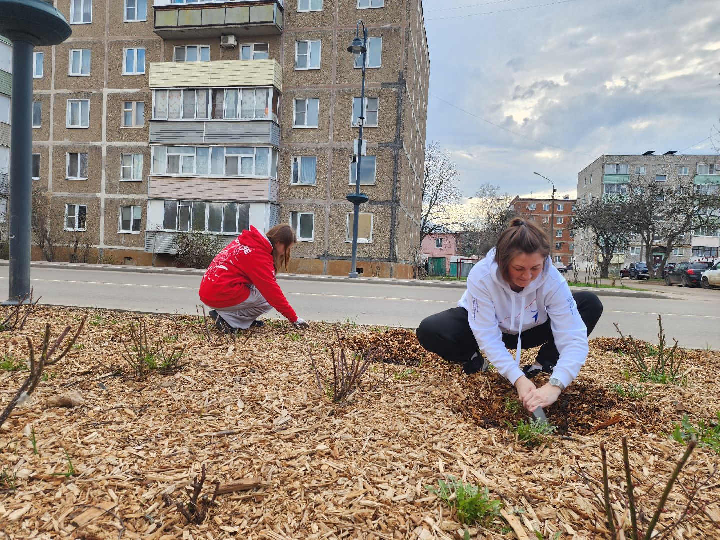 Зарайск, Розы Зарайска, Субботник, Благоустройство улиц, Благоустройство Зарайска,