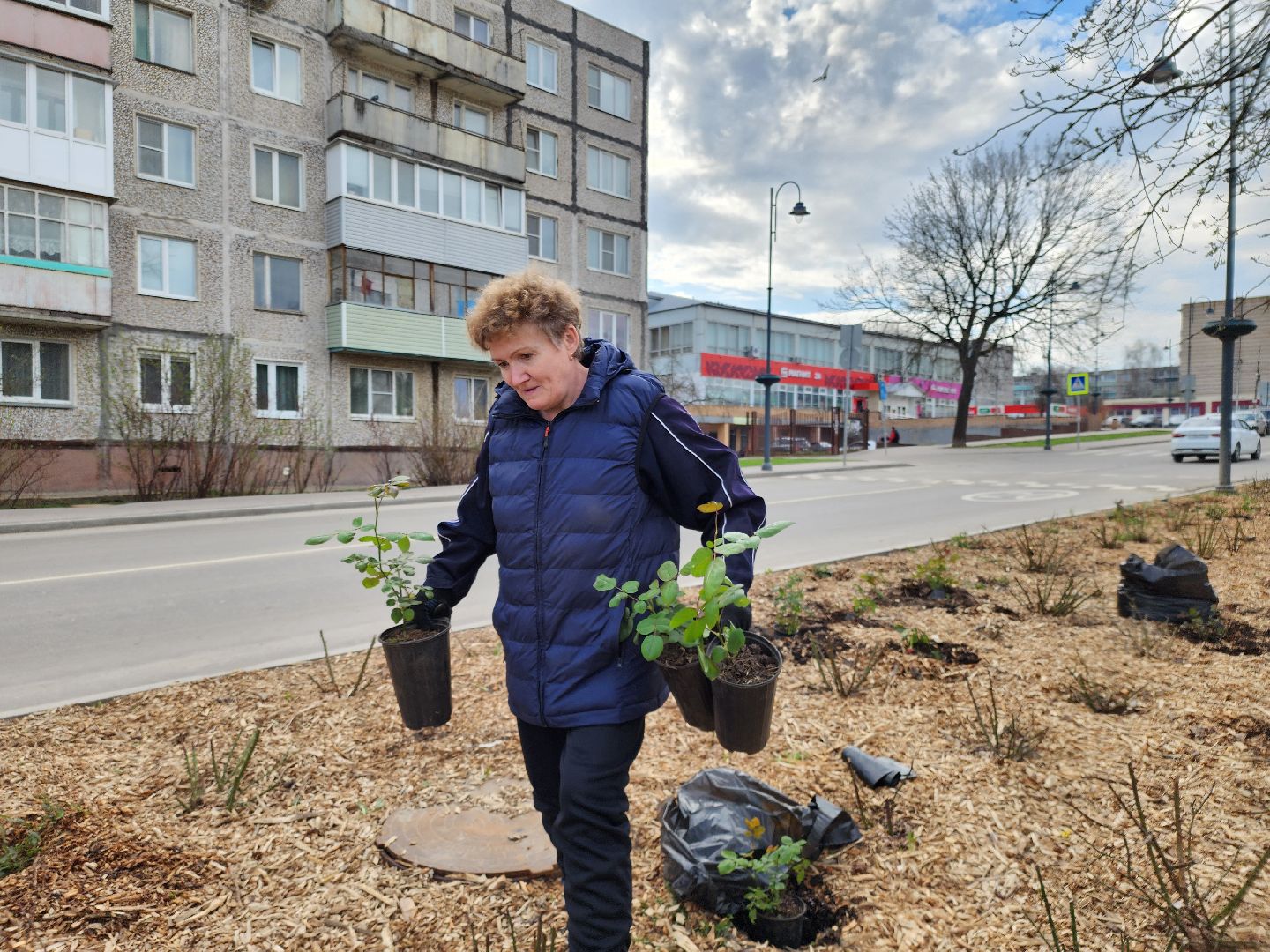 Зарайск, Розы Зарайска, Субботник, Благоустройство улиц, Благоустройство Зарайска,