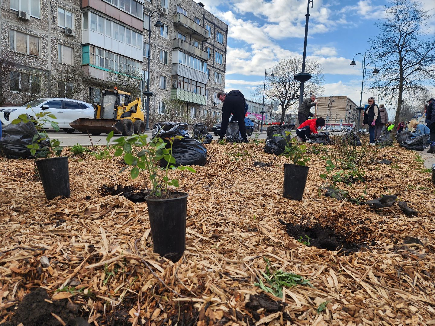 Зарайск, Розы Зарайска, Субботник, Благоустройство улиц, Благоустройство Зарайска,