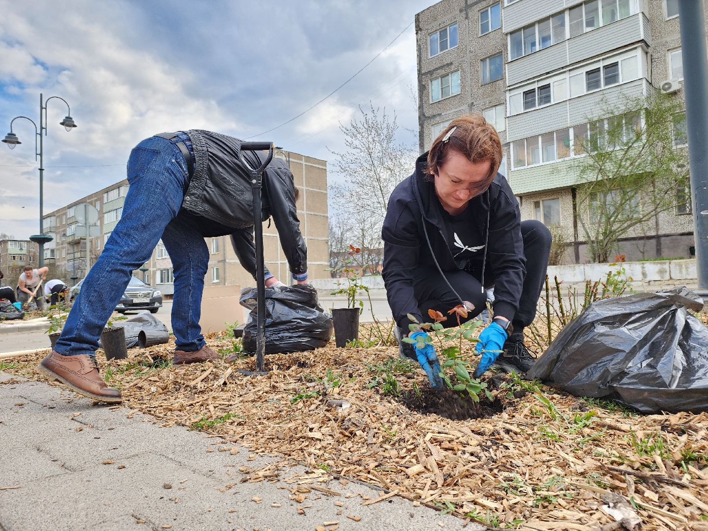 Зарайск, Розы Зарайска, Субботник, Благоустройство улиц, Благоустройство Зарайска,