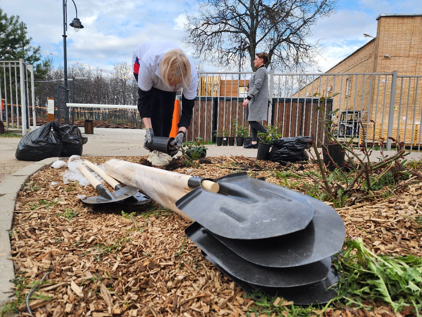 Зарайск, Розы Зарайска, Субботник, Благоустройство улиц, Благоустройство Зарайска,