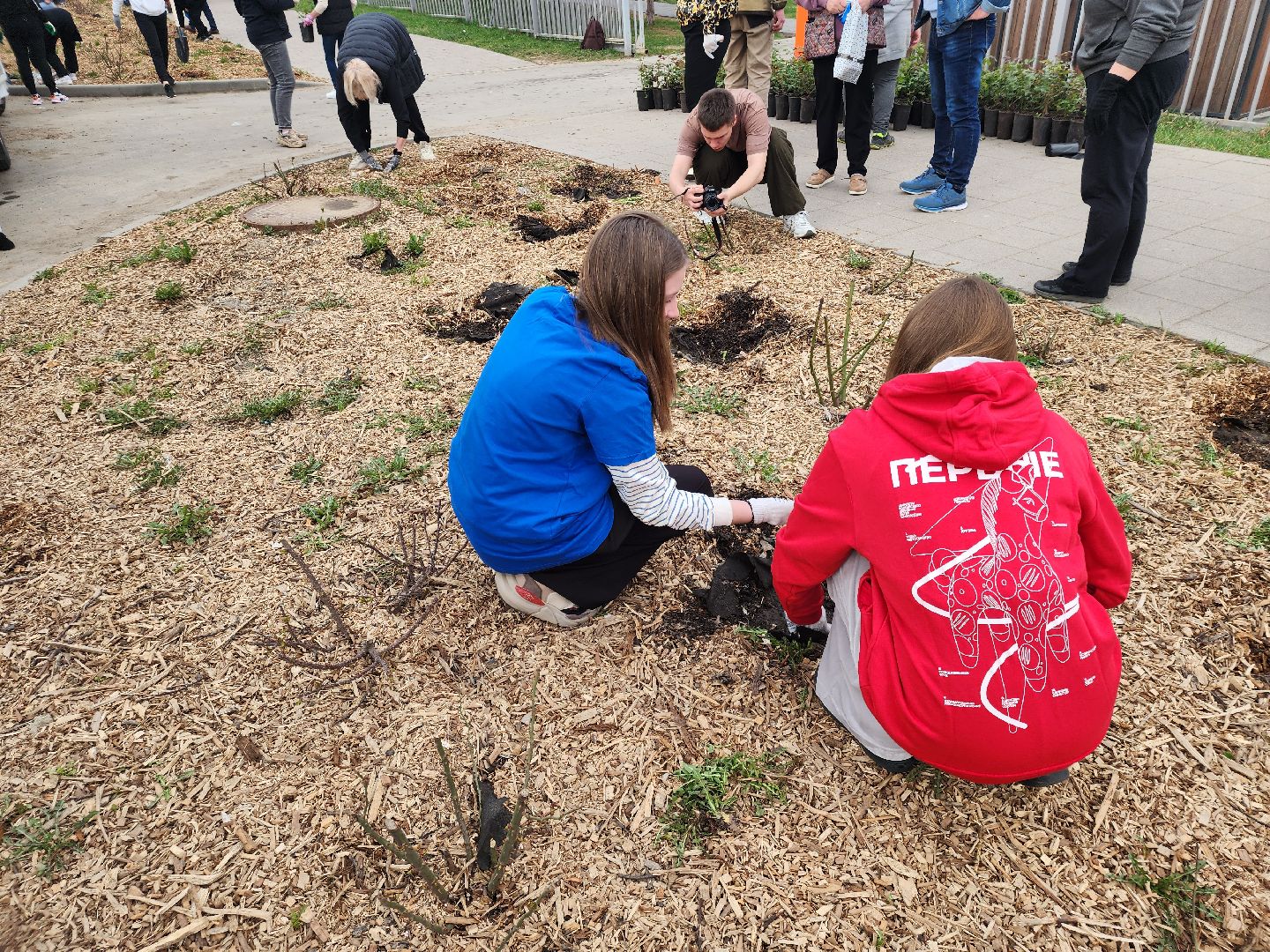 Зарайск, Розы Зарайска, Субботник, Благоустройство улиц, Благоустройство Зарайска,