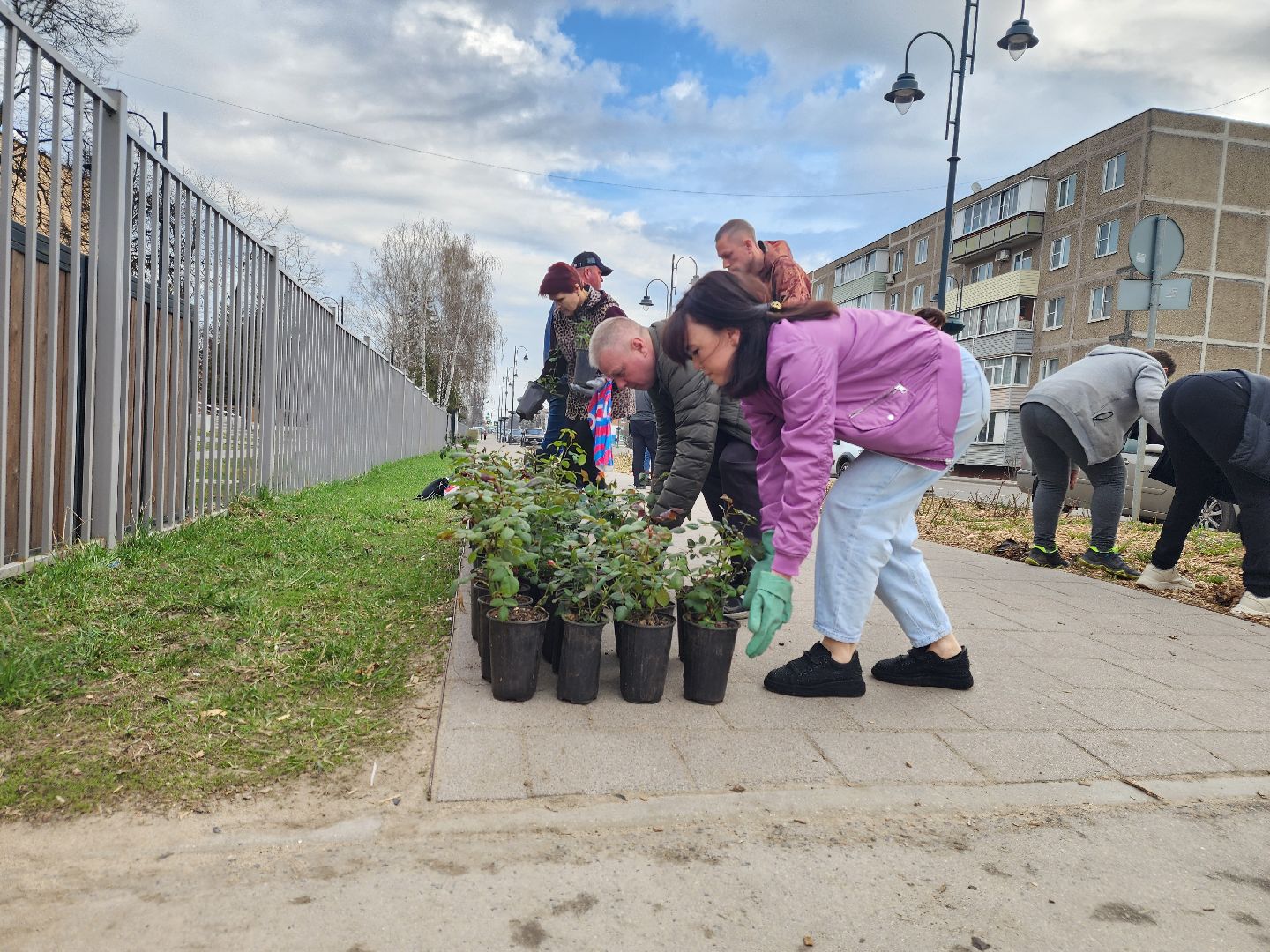 Зарайск, Розы Зарайска, Субботник, Благоустройство улиц, Благоустройство Зарайска,