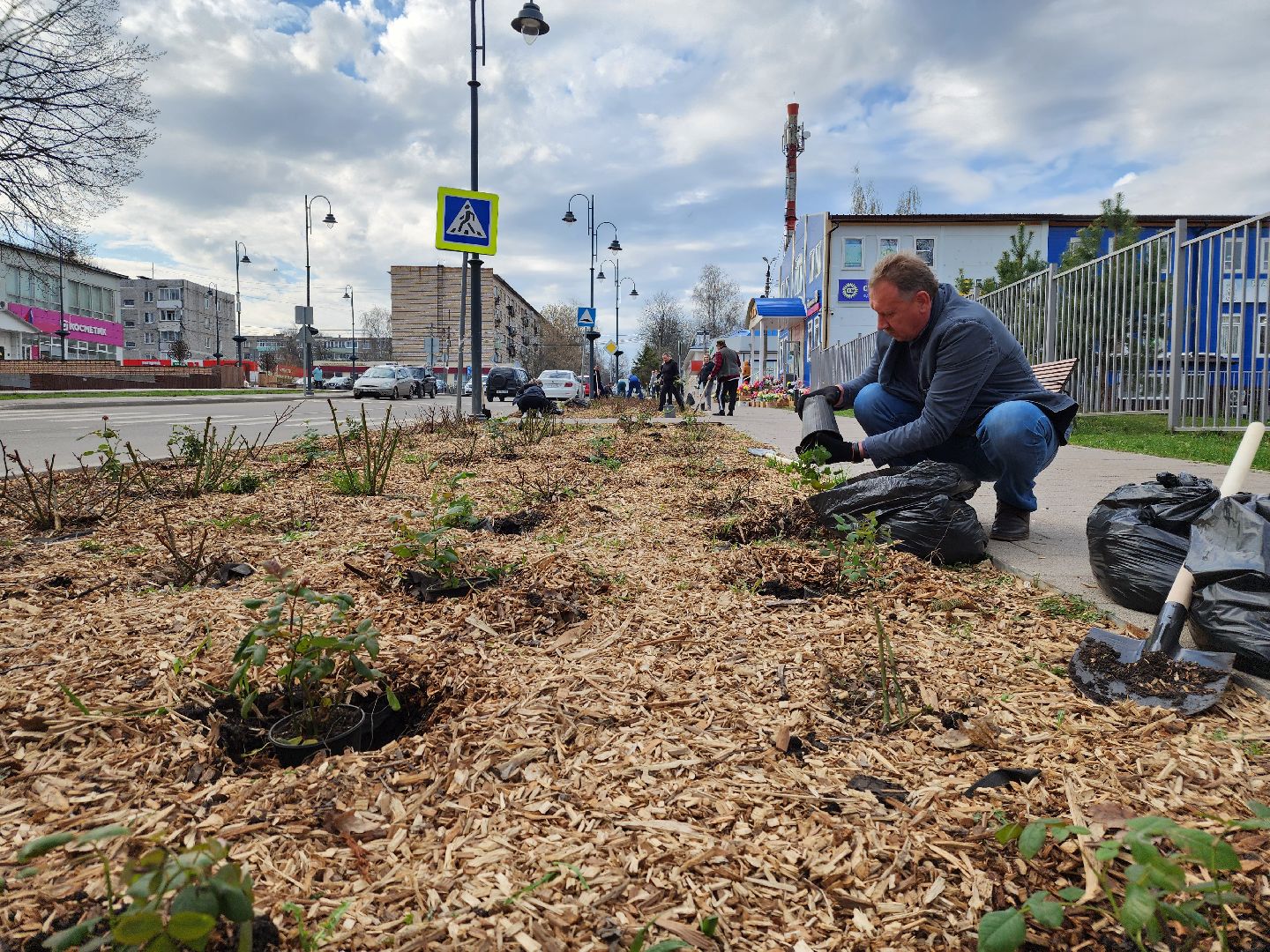 Зарайск, Розы Зарайска, Субботник, Благоустройство улиц, Благоустройство Зарайска,