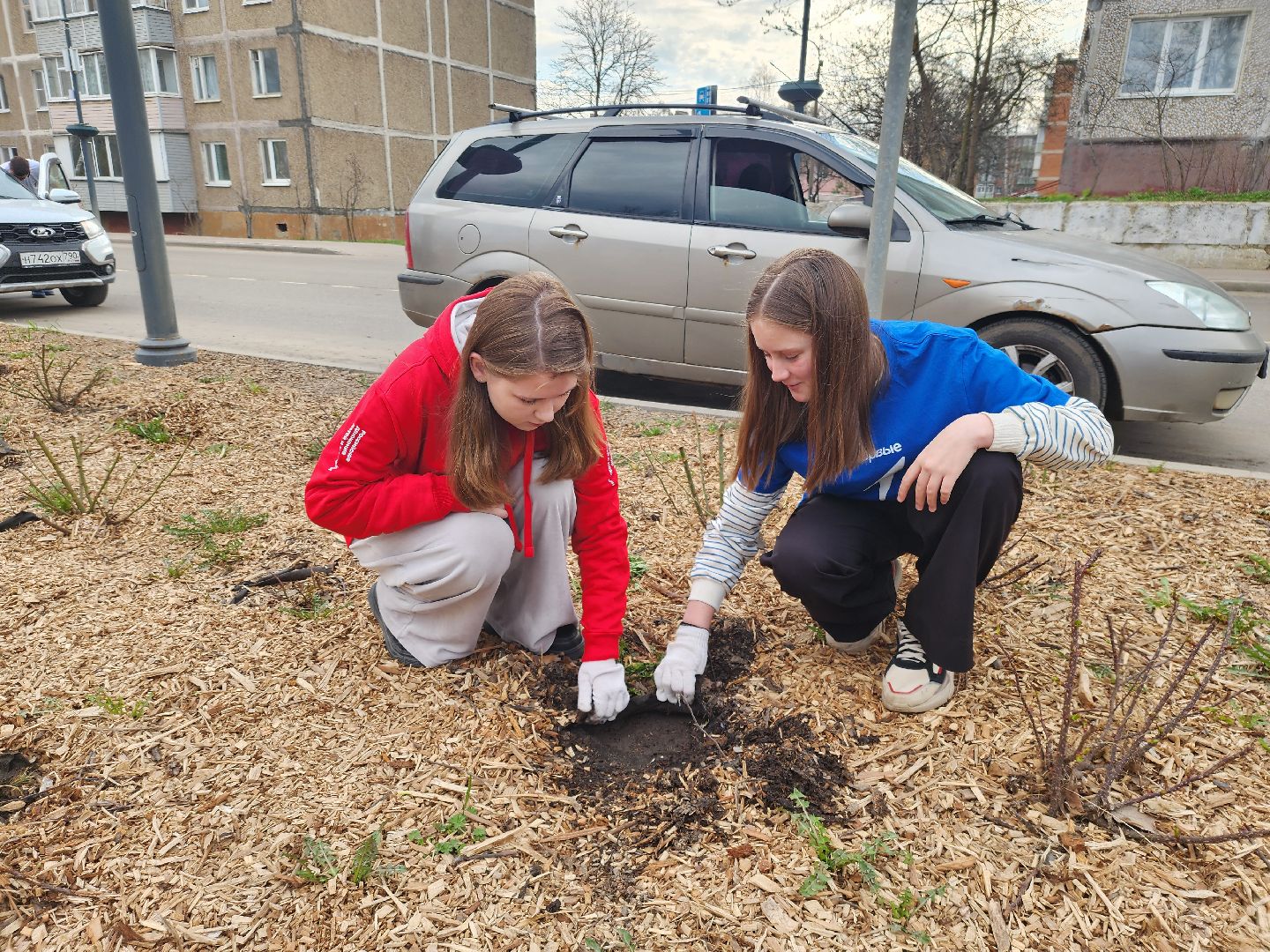 Зарайск, Розы Зарайска, Субботник, Благоустройство улиц, Благоустройство Зарайска,