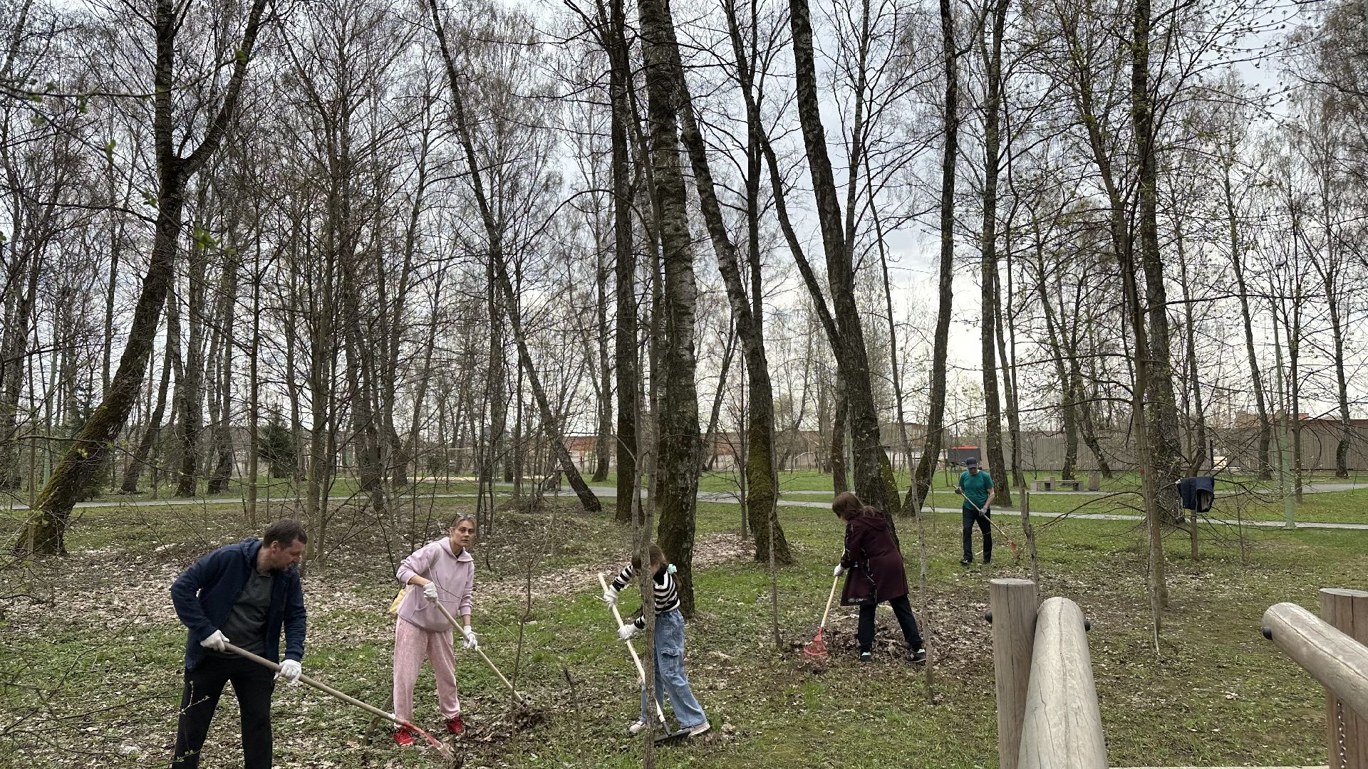 субботник , домодедово,