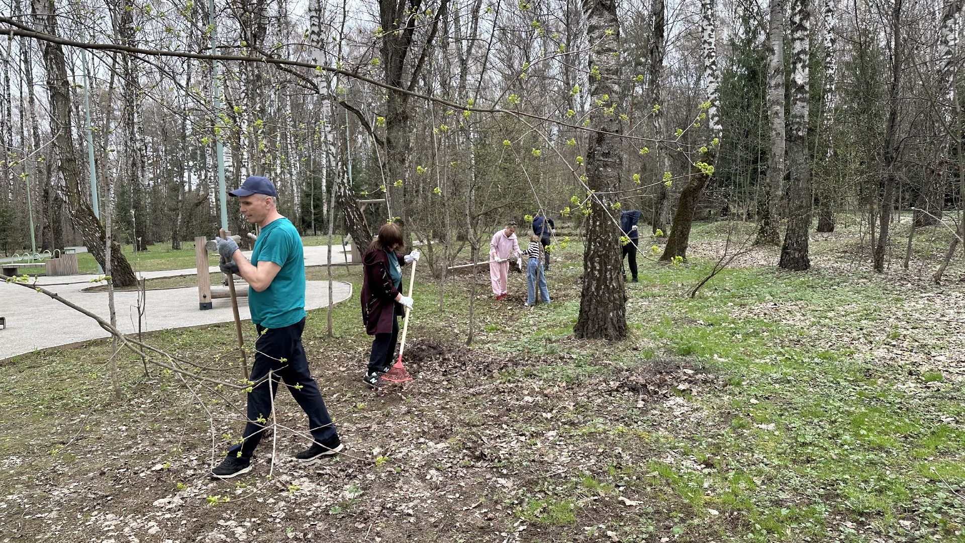 субботник , домодедово,