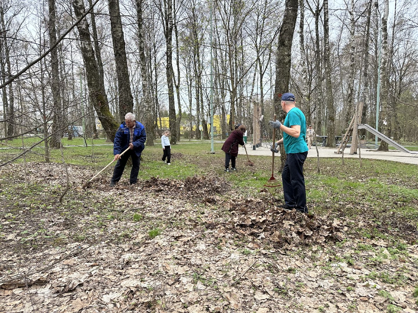 субботник , домодедово,