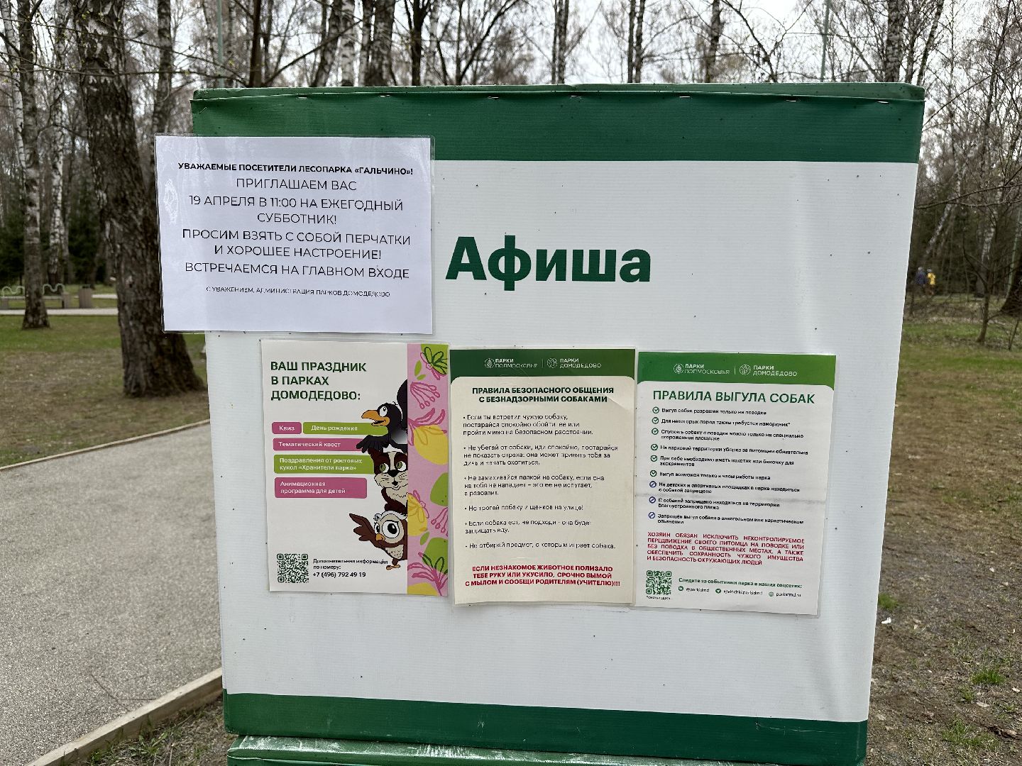 субботник , домодедово,