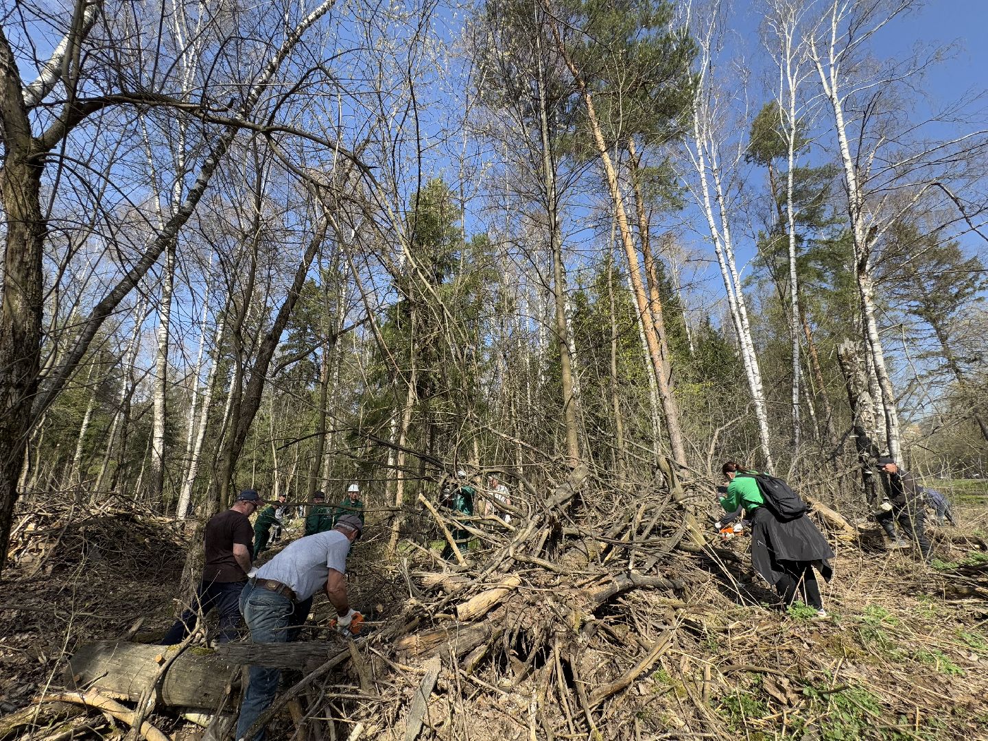 Кучинский лесопарк, субботник, балашиха,