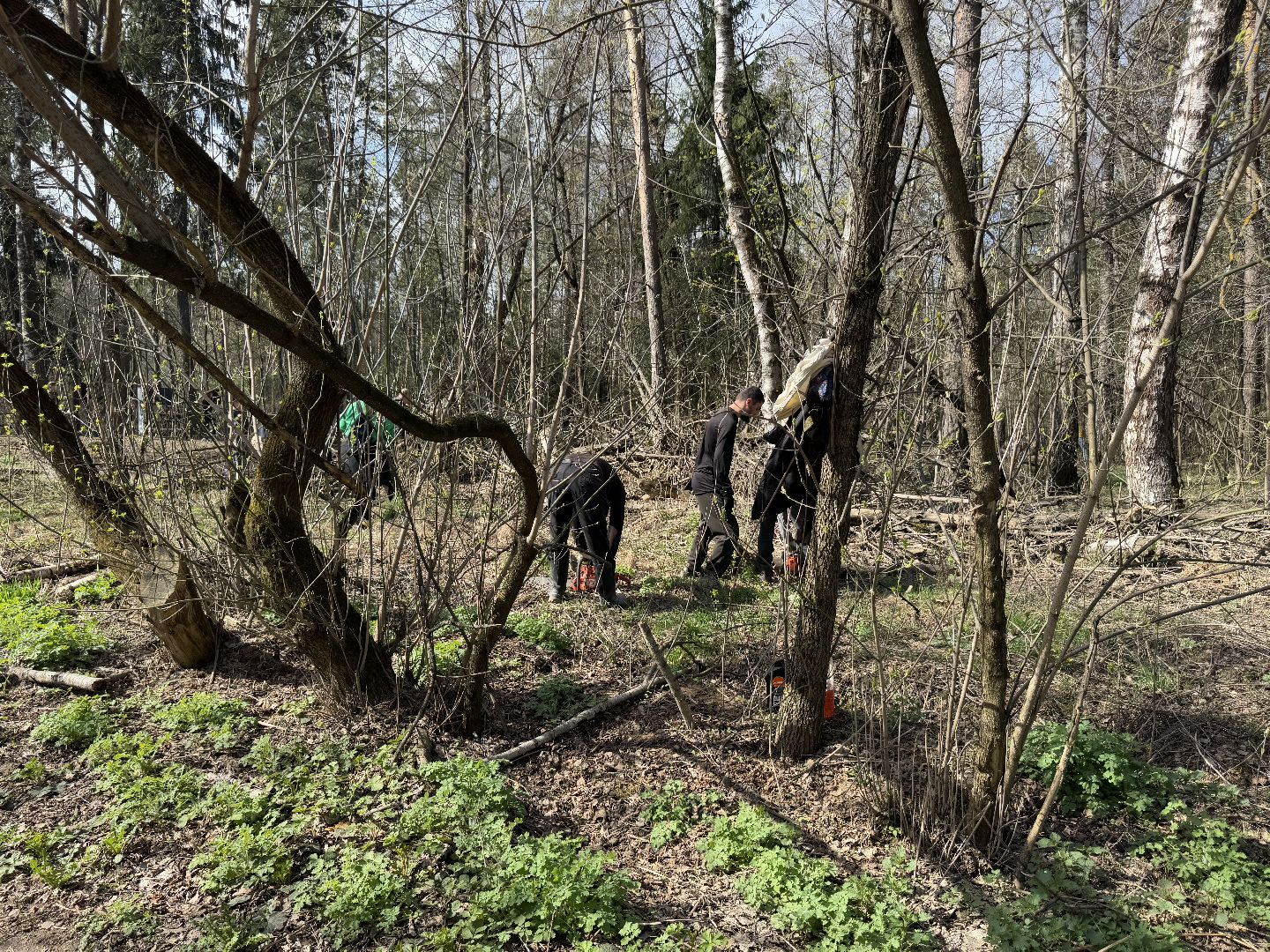 Кучинский лесопарк, субботник, балашиха,