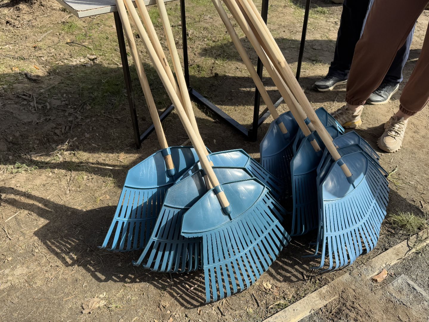 Кучинский лесопарк, субботник, балашиха,