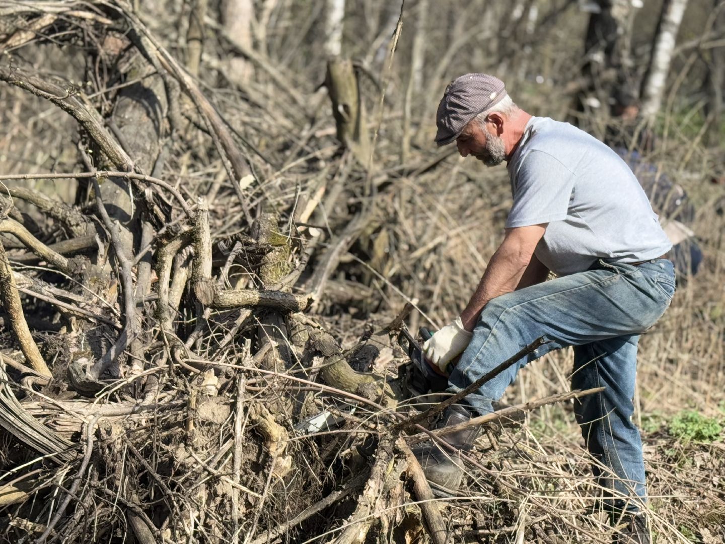Кучинский лесопарк, субботник, балашиха,