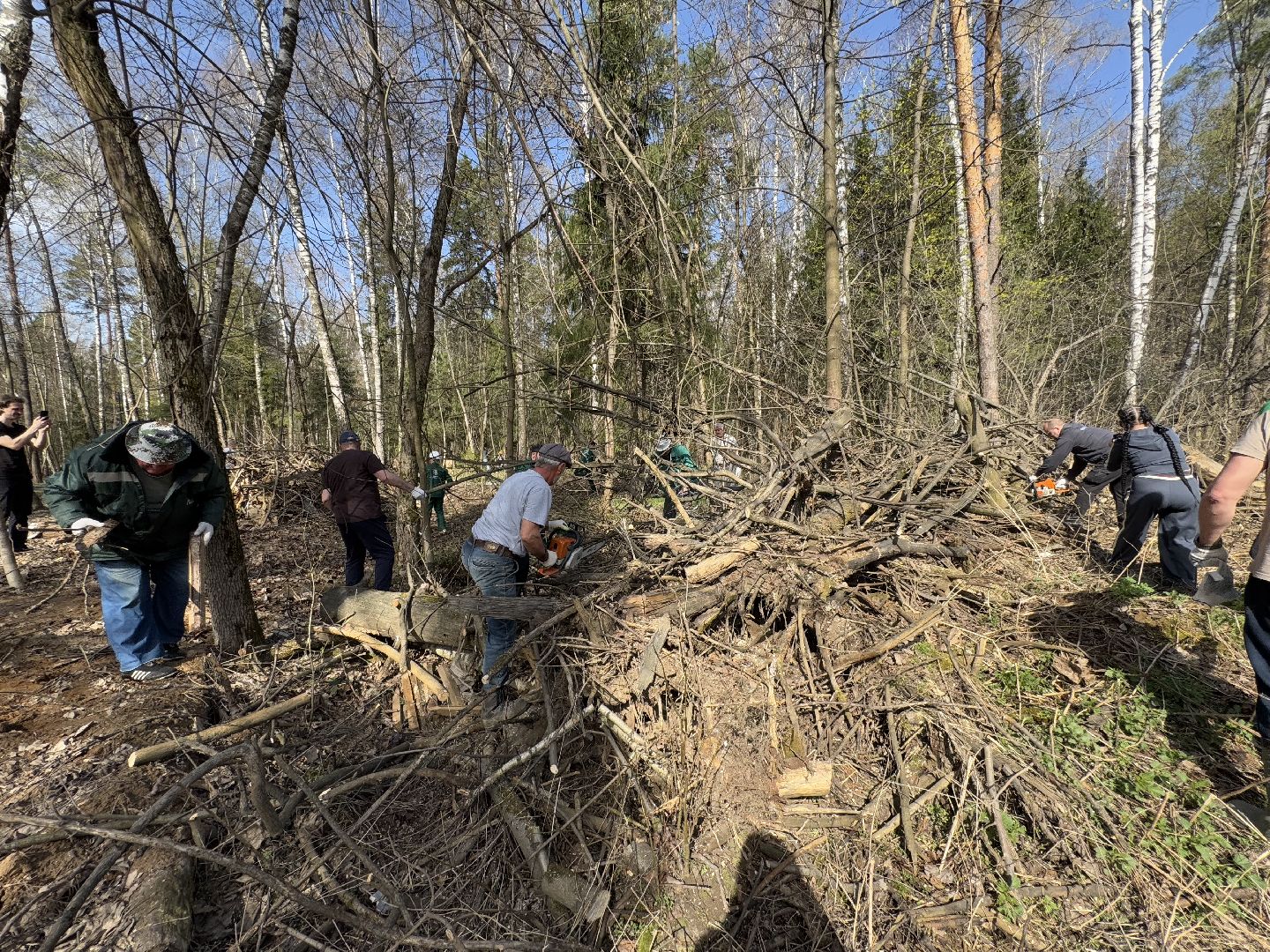 Кучинский лесопарк, субботник, балашиха,