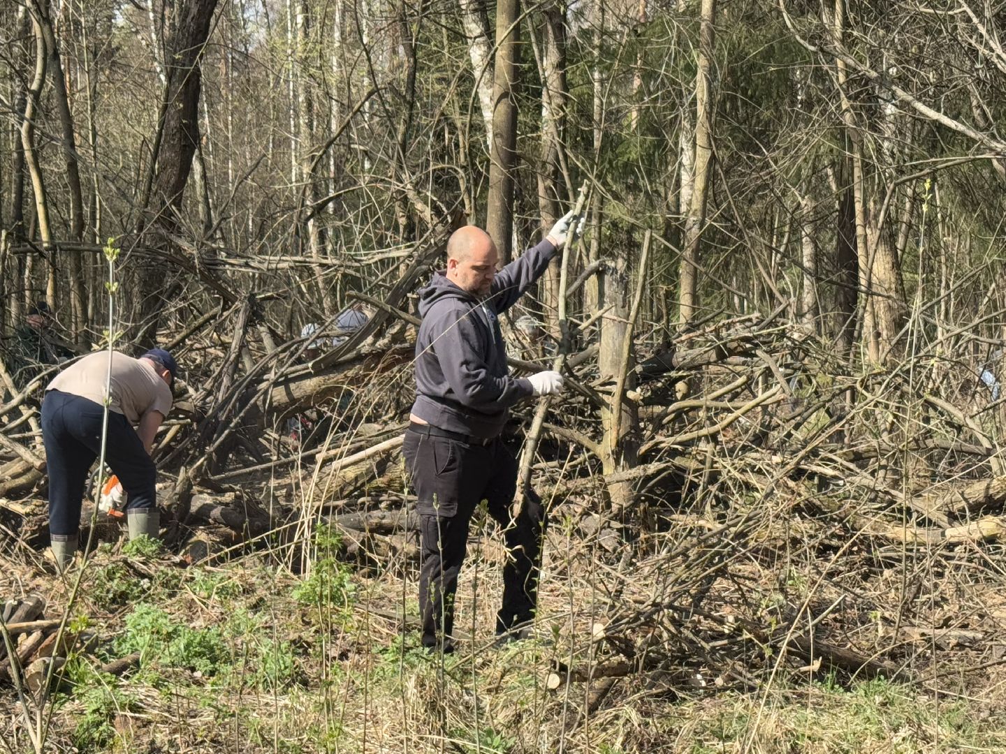 Кучинский лесопарк, субботник, балашиха,