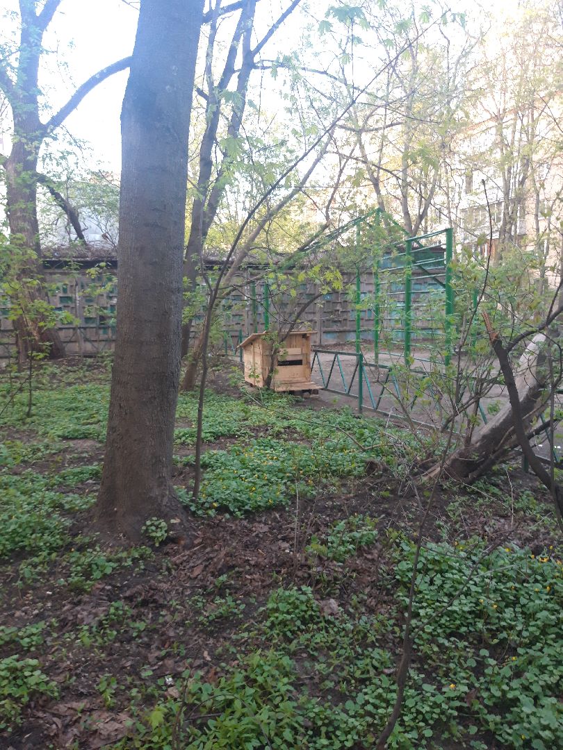 доброе дело, выходи во двор,