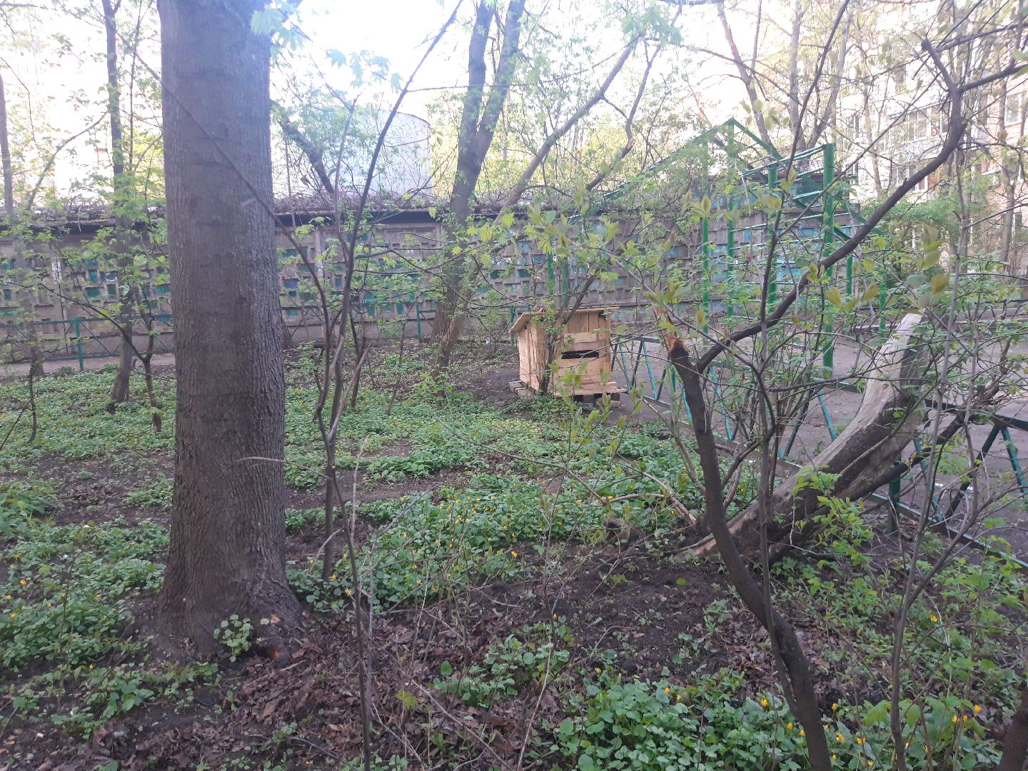 доброе дело, выходи во двор,