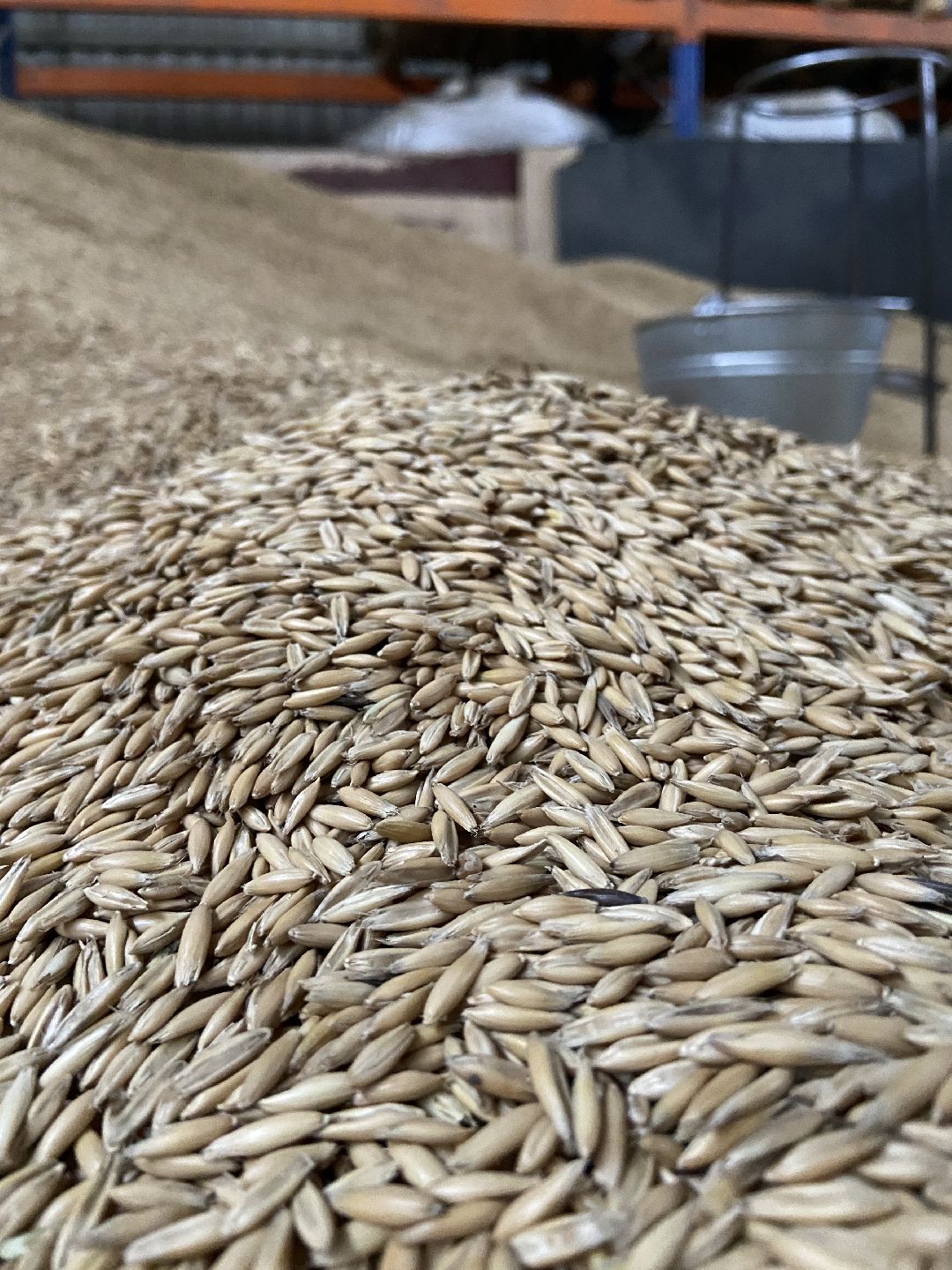 Волоколамск