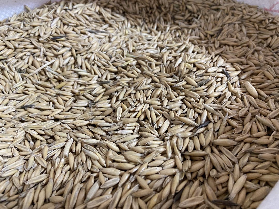 Волоколамск