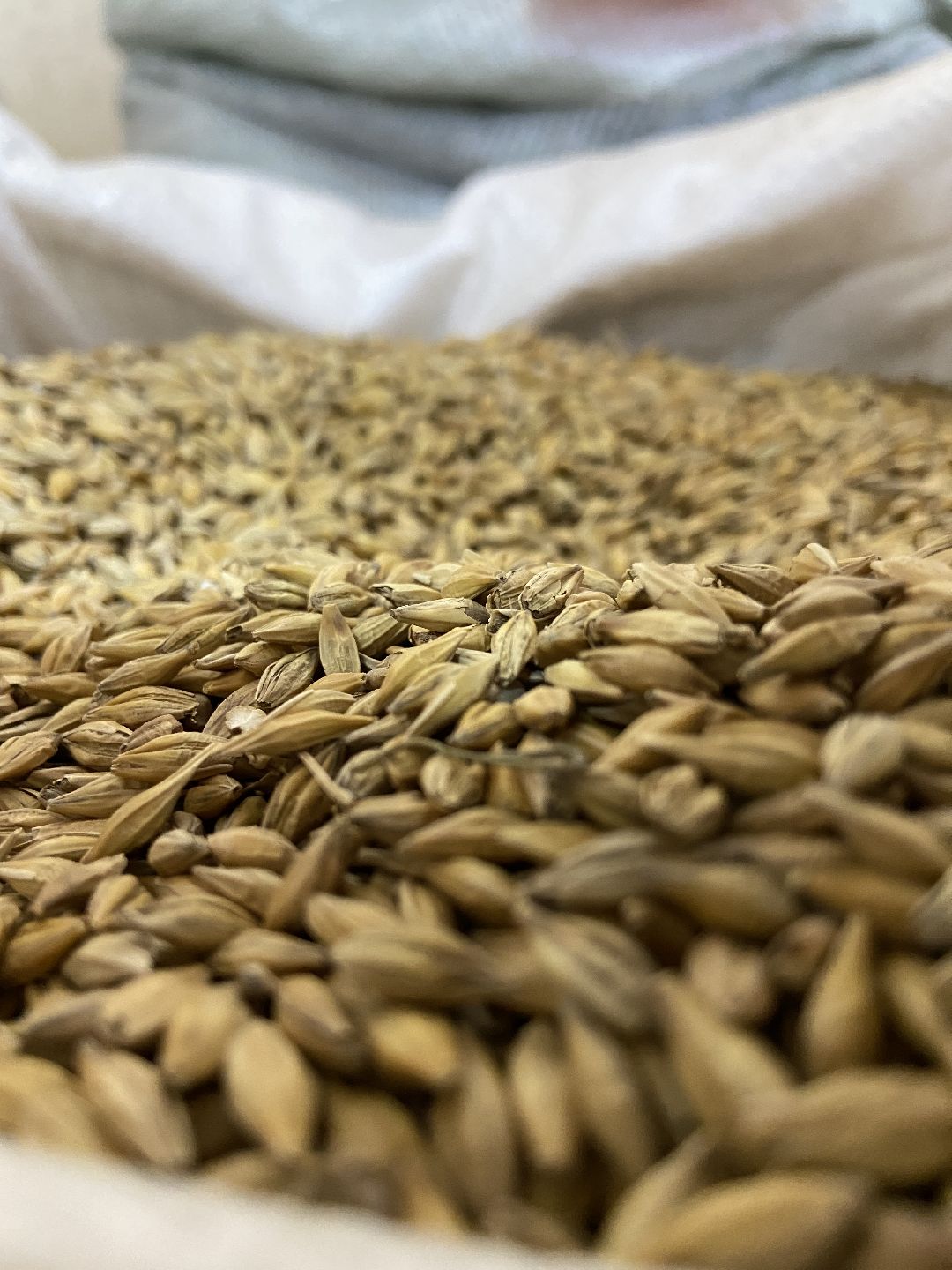 Волоколамск