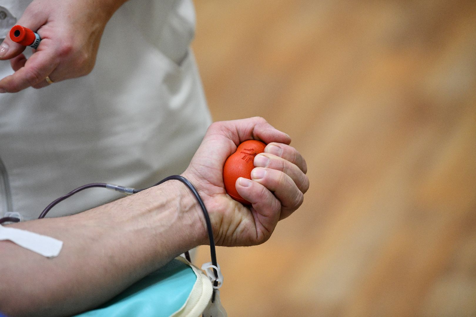 кровь, акция, донор,