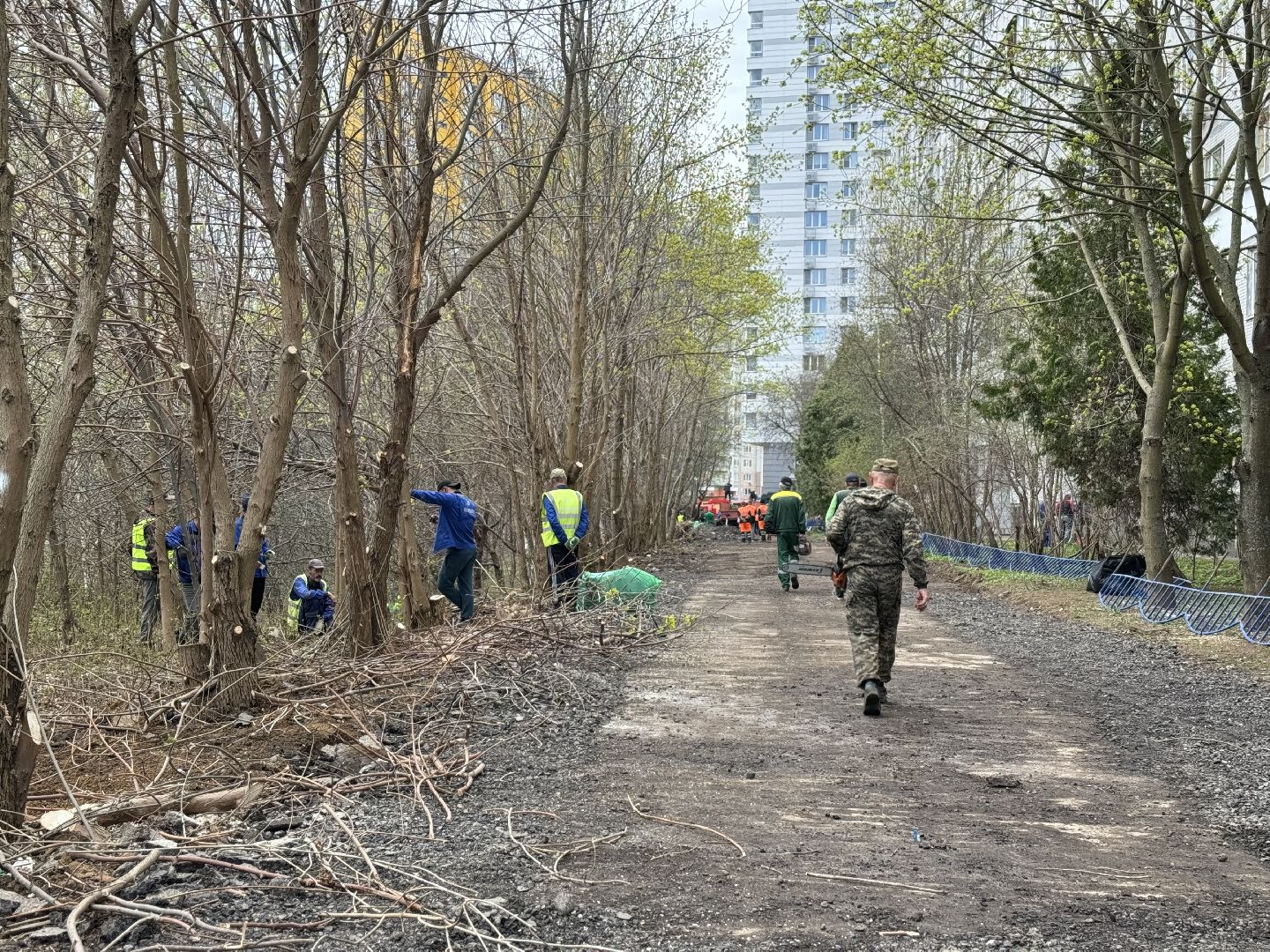 субботник, сквер сосенки, ленинский городской округ, жители ленинского округа,