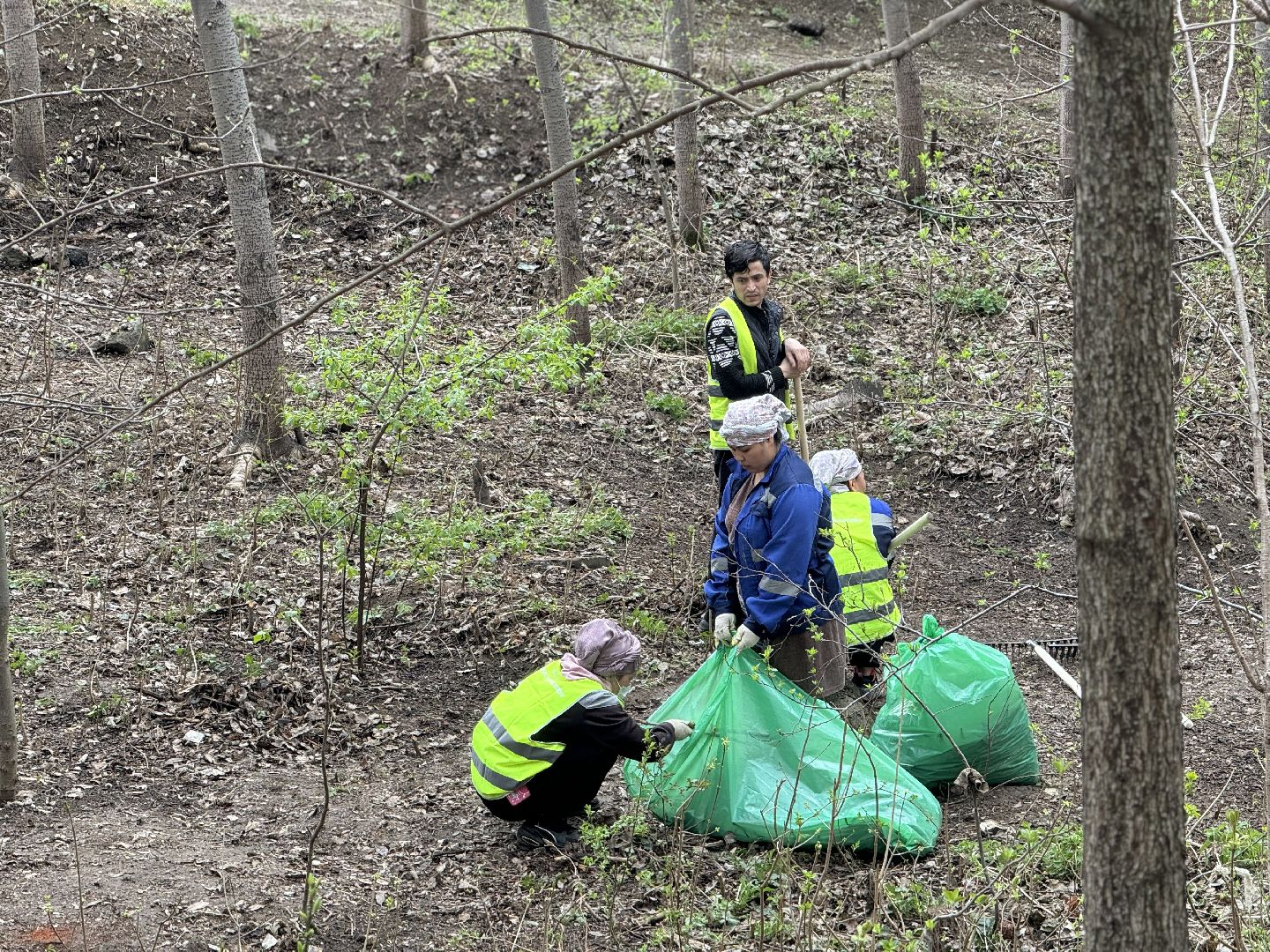 субботник, сквер сосенки, ленинский городской округ, жители ленинского округа,