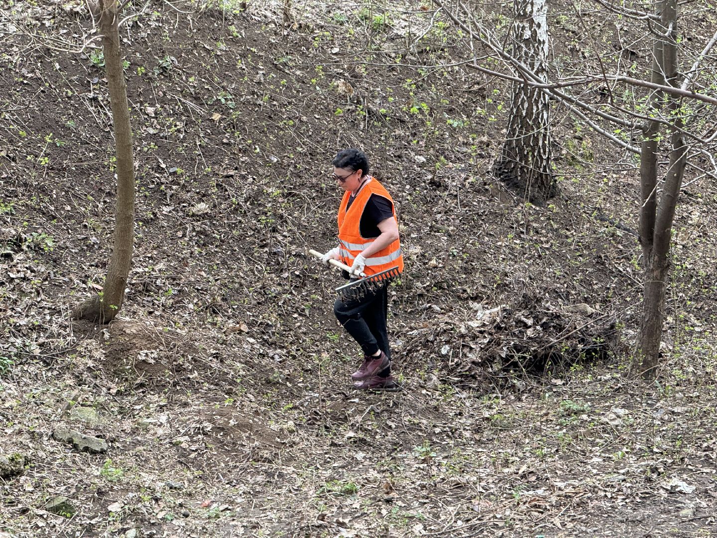 субботник, сквер сосенки, ленинский городской округ, жители ленинского округа,