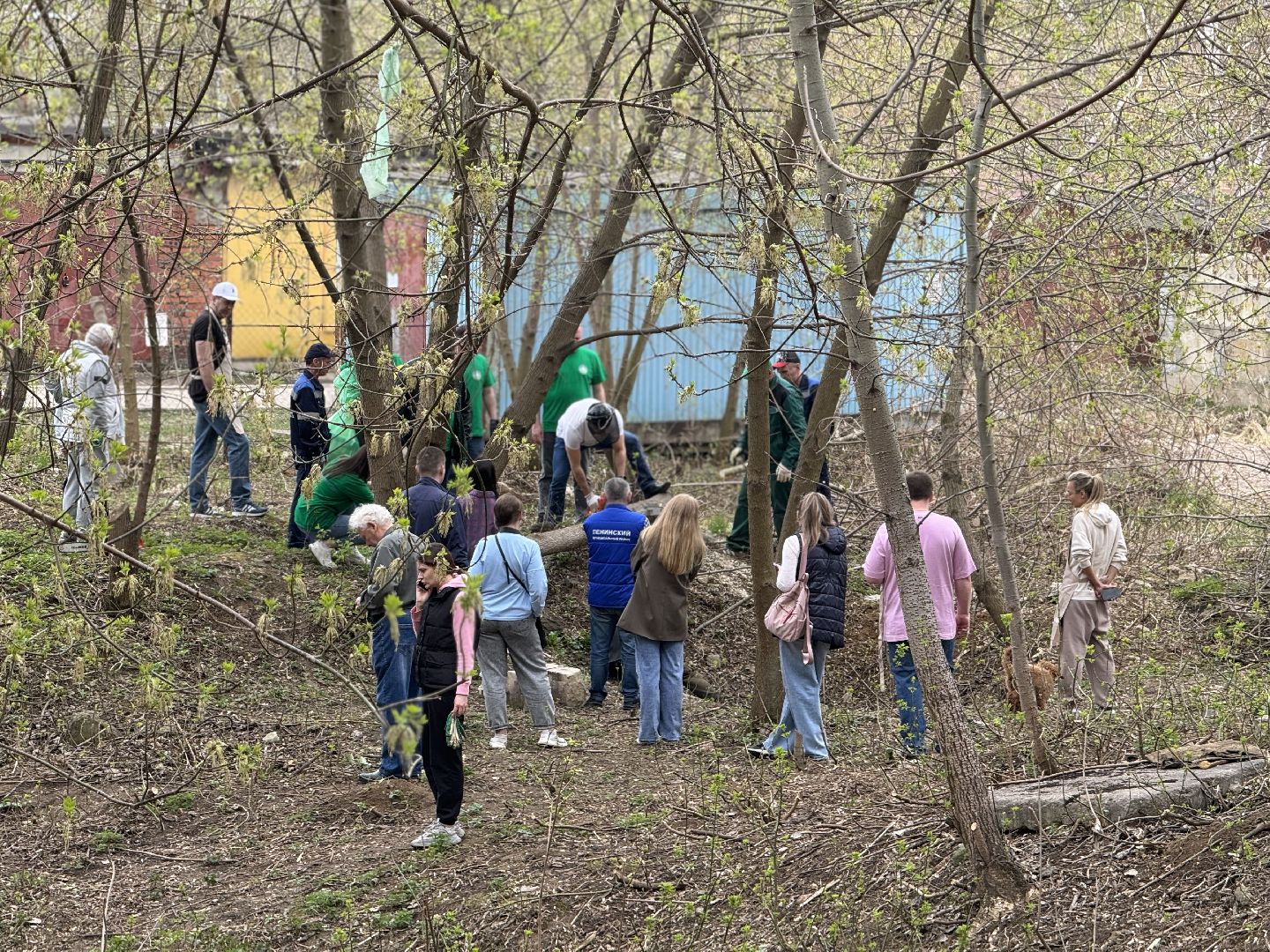 субботник, сквер сосенки, ленинский городской округ, жители ленинского округа,