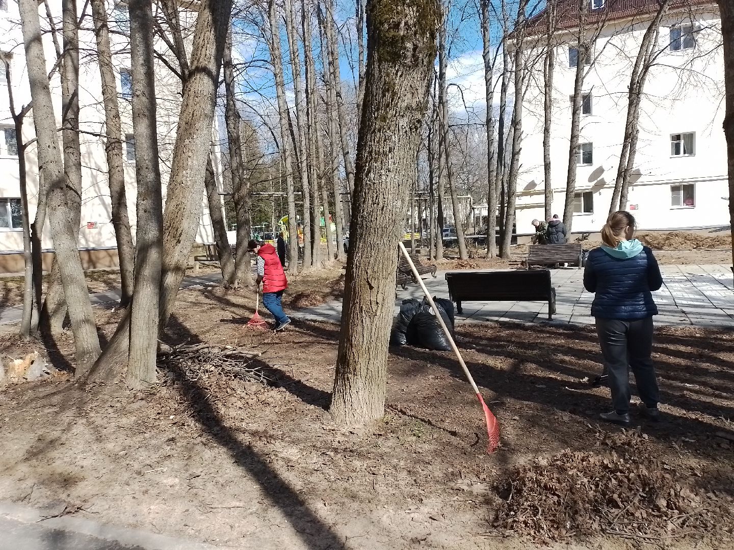городской округ восход, субботник, благоустройство, общеобластной субботник,