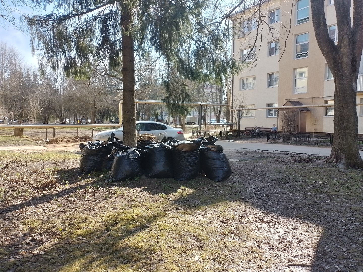 городской округ восход, субботник, благоустройство, общеобластной субботник,