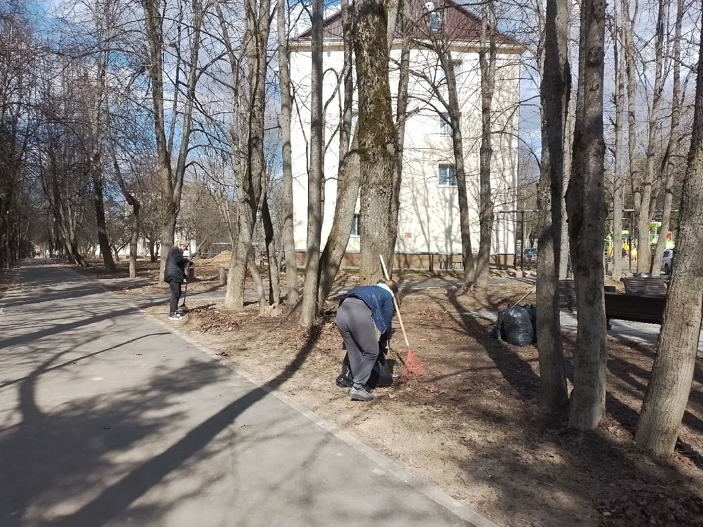городской округ восход, субботник, благоустройство, общеобластной субботник,