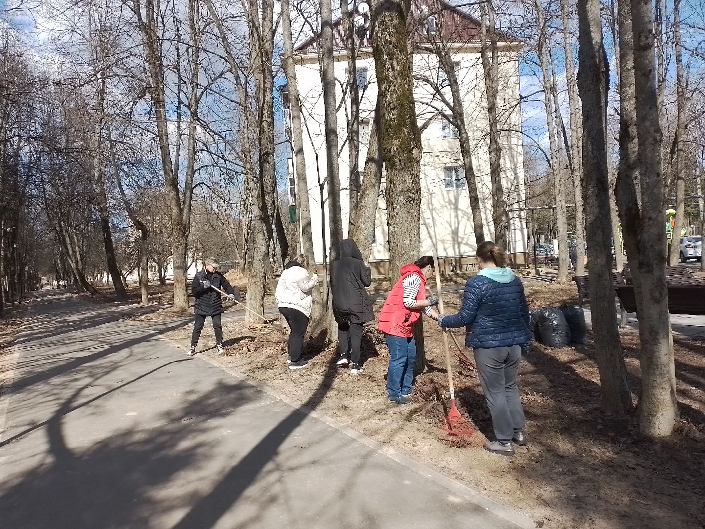 городской округ восход, субботник, благоустройство, общеобластной субботник,