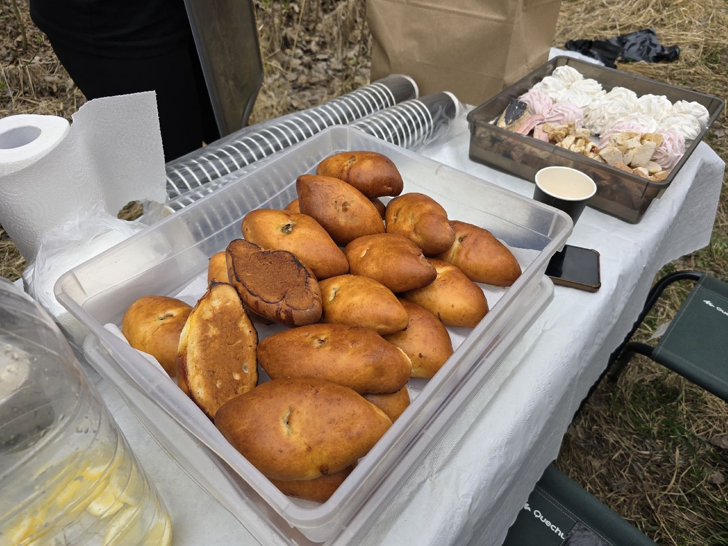 Коломна, субботник, усадьба, фонд друзей коломны,