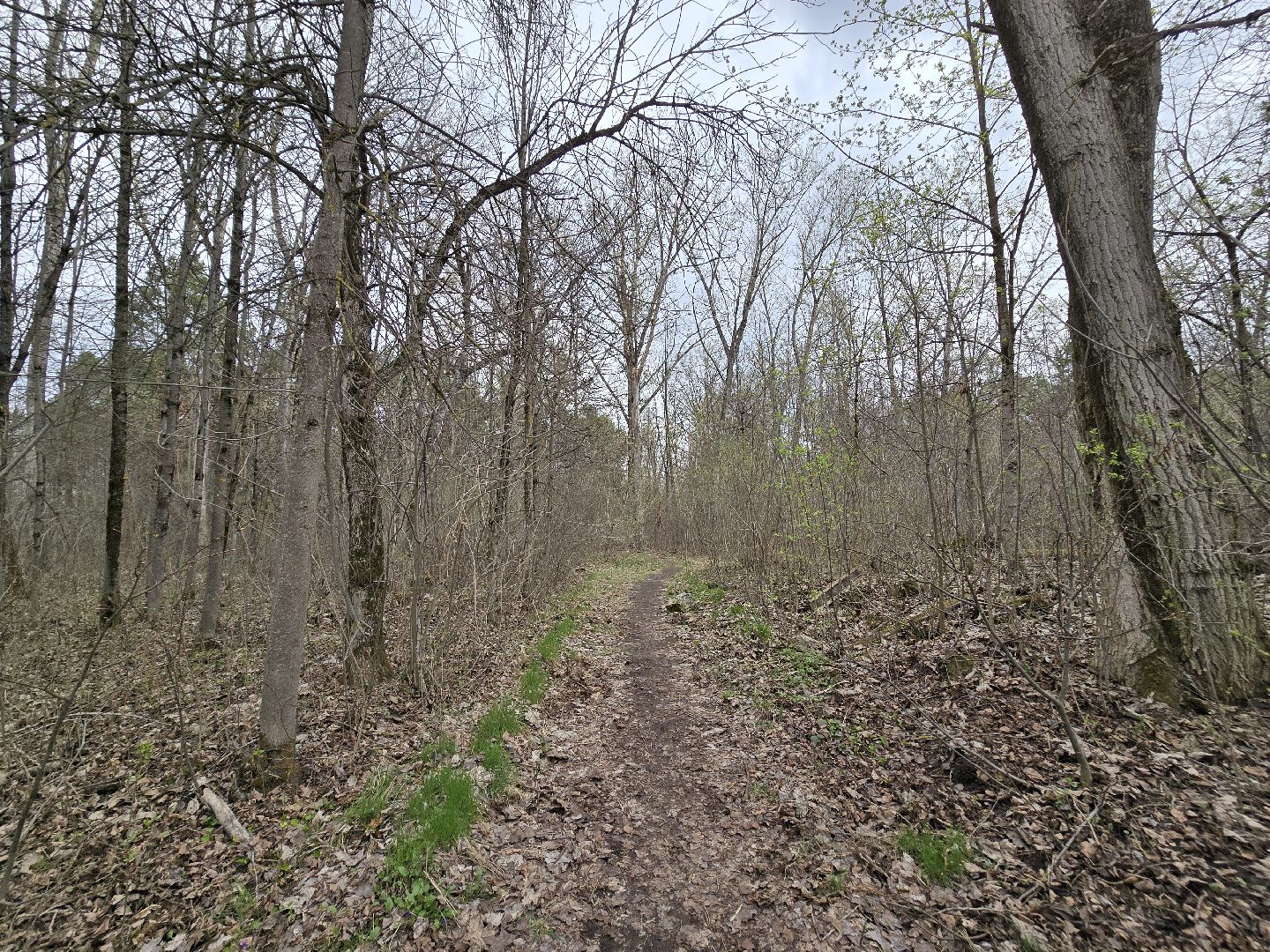 Коломна, субботник, усадьба, фонд друзей коломны,