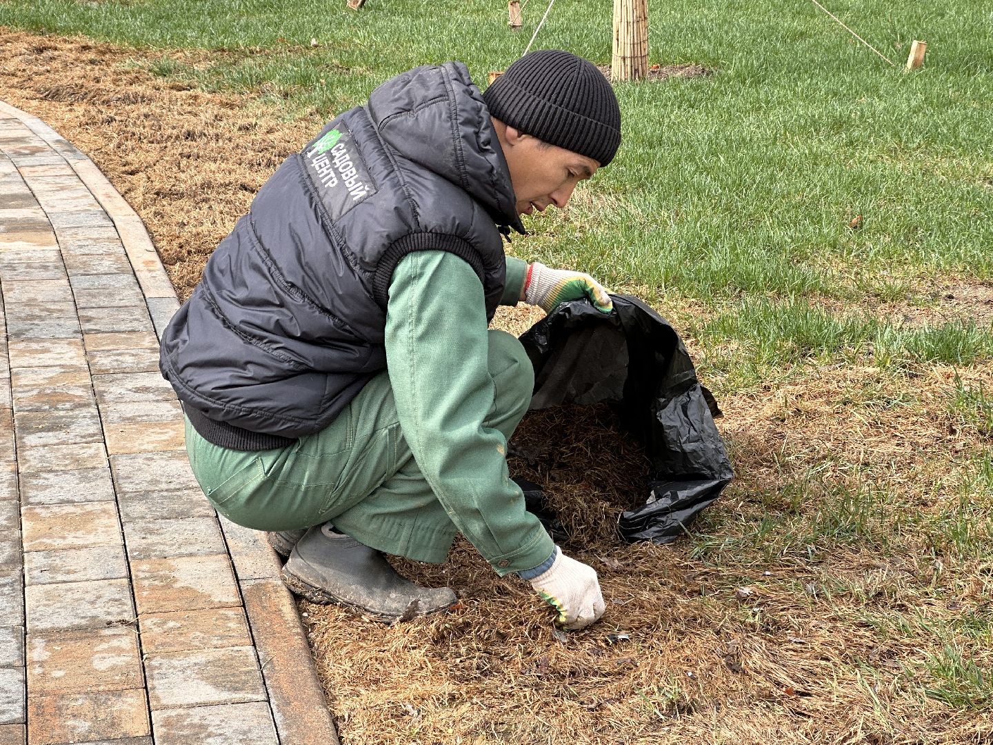 Одинцово, Союзный, Благоустройство, Газон, Парки Подмосковья