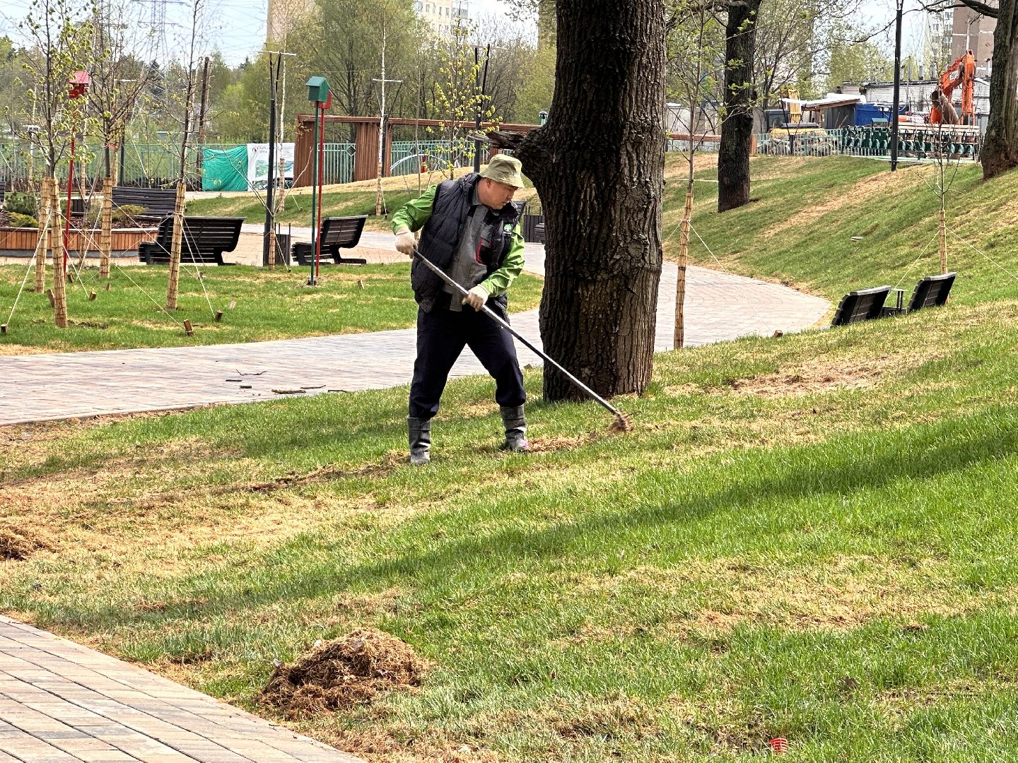 Одинцово, Союзный, Благоустройство, Газон, Парки Подмосковья